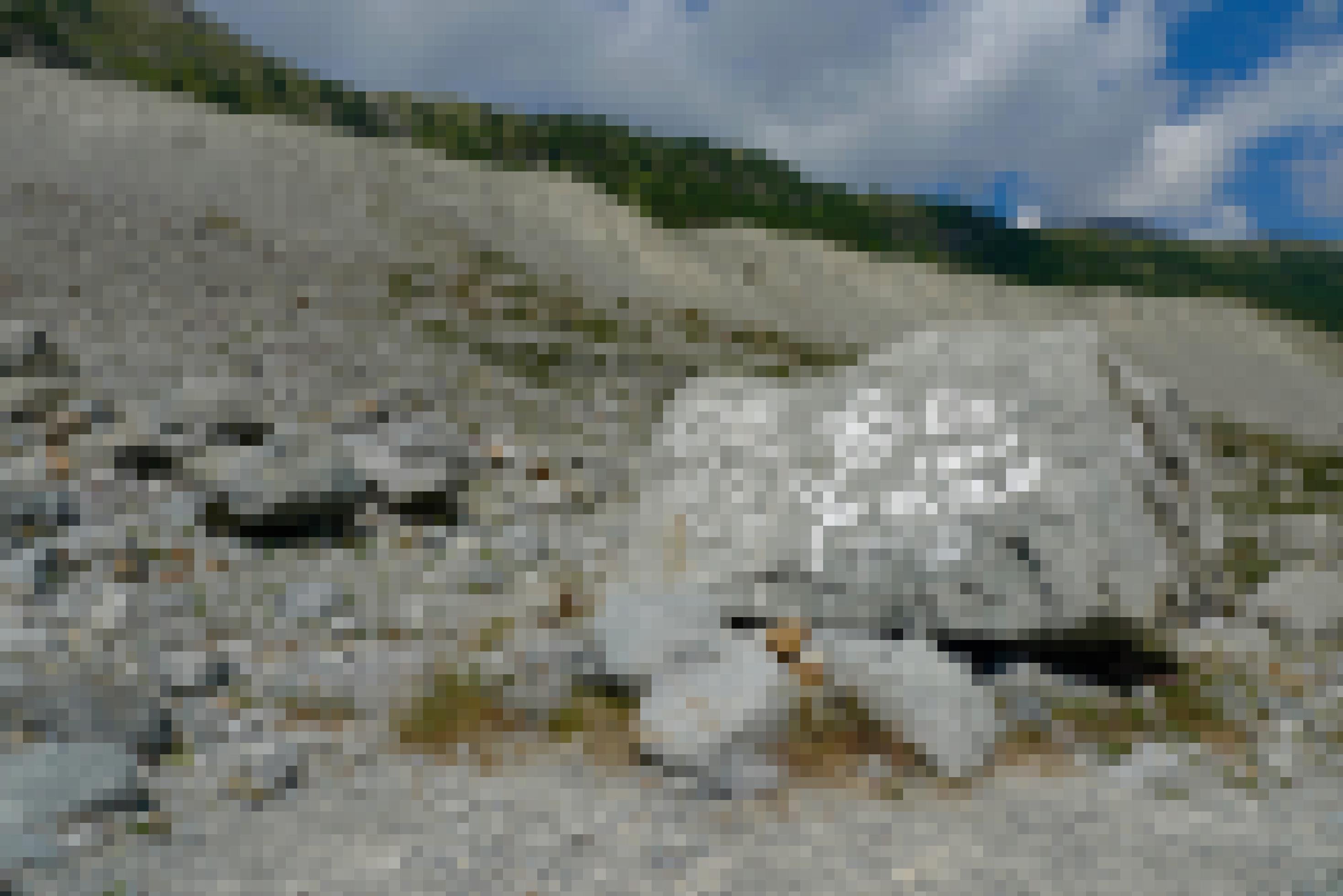 Auf einem Felsen unterhalb des Morteratschgletschers in Graubünden steht das Datum des Eisrandes vor ein paar Jahren.