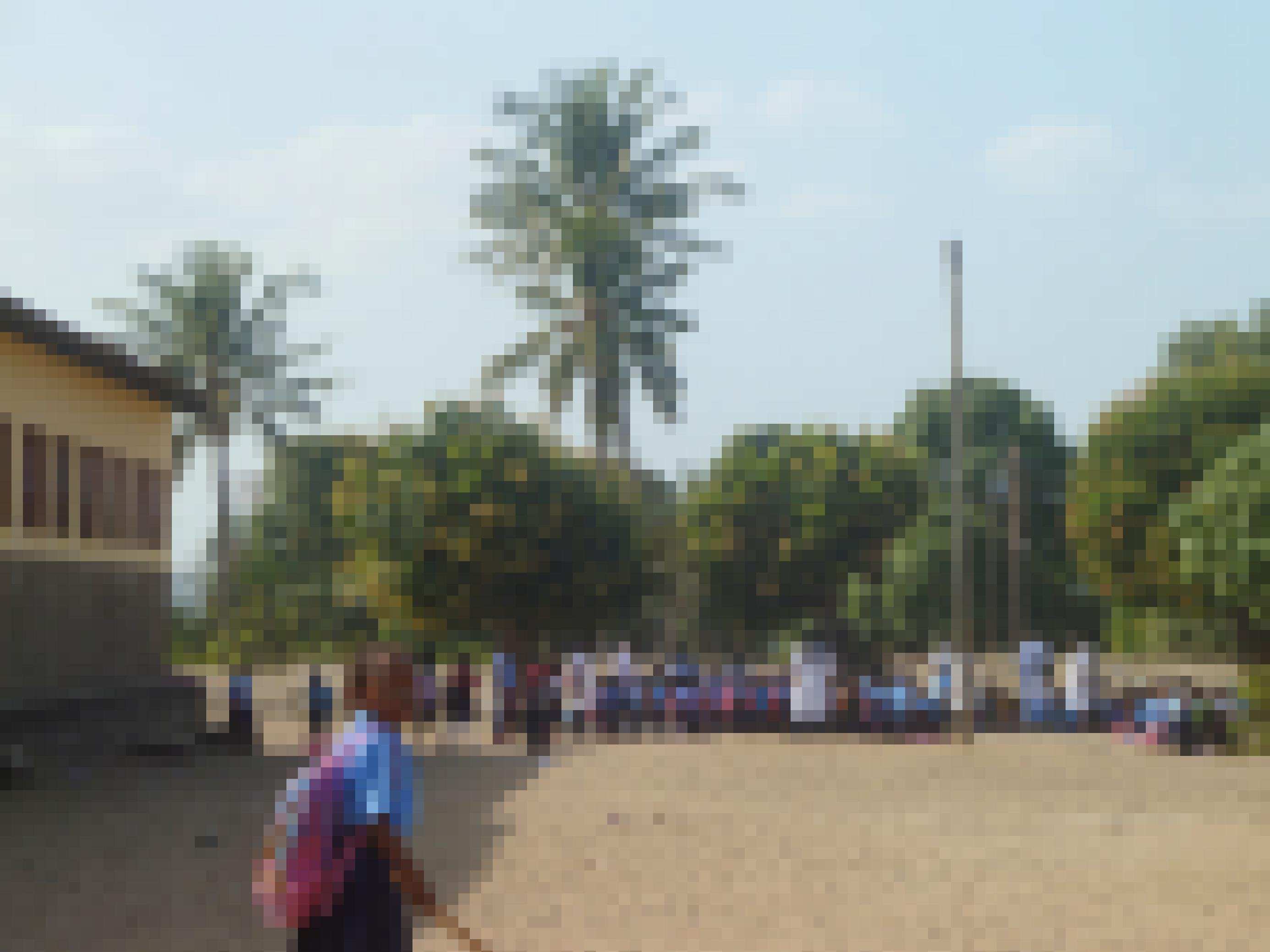 Auf dem sandigen Schulhof, unter Palmen, haben sich Schülerinnen zum Unterricht versammelt