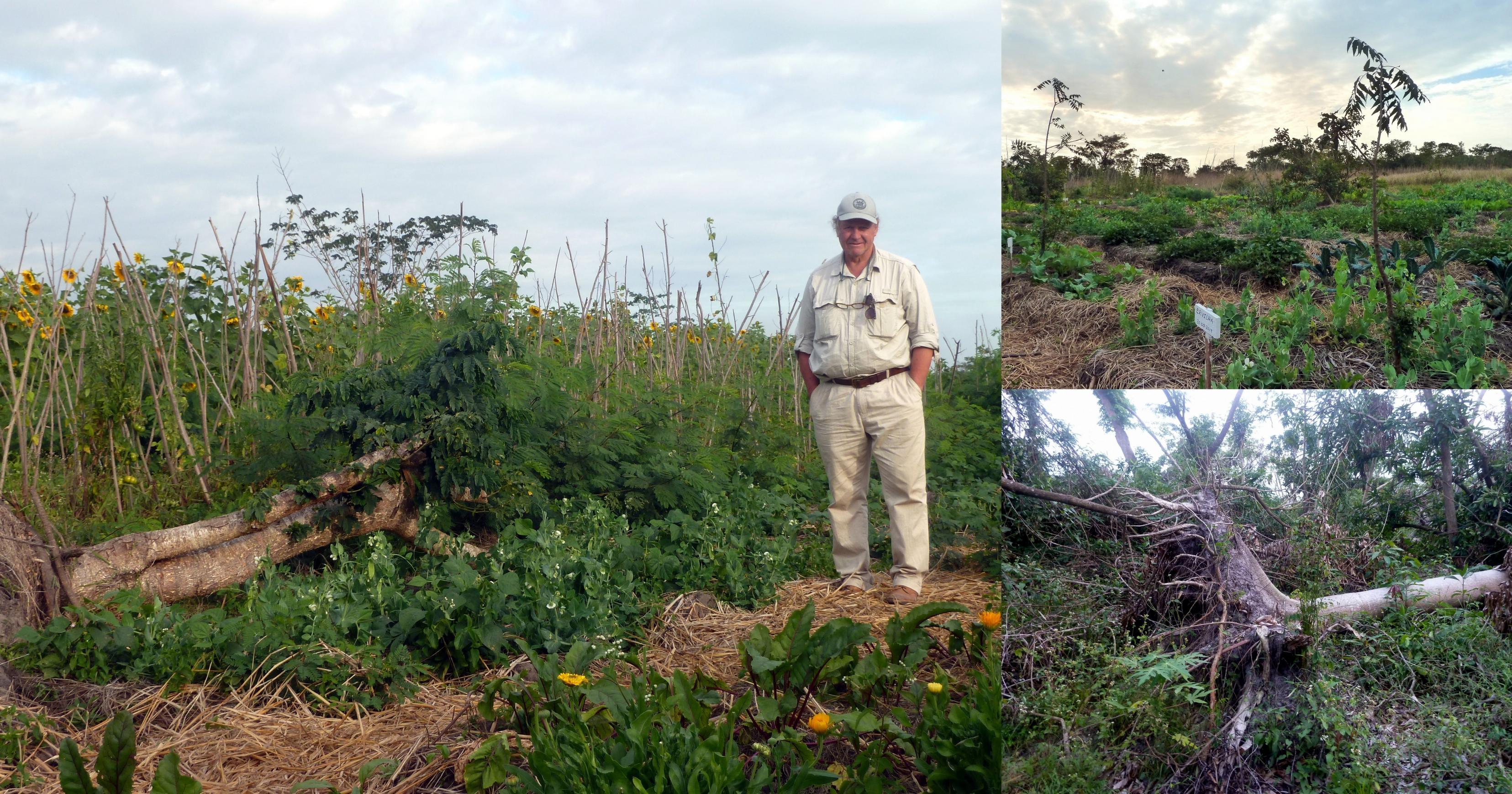 Mehrere Fotos aus Mezimbite – Allan Schwarz inmitten eines seiner Gemüsefelder und weitere Fotos des nachhaltigen Anbaus.