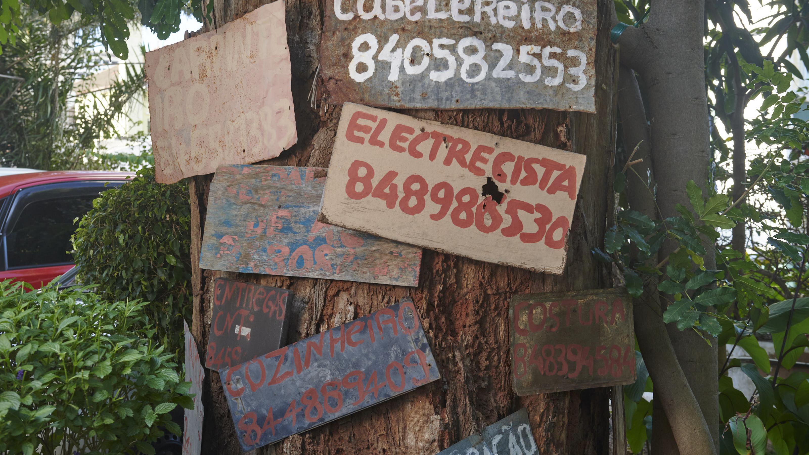 An einem Baumstamm sind mehrere handgemalte Schilder befestigt, darauf stehen die Berufe und Telefonnummern der Arbeiter