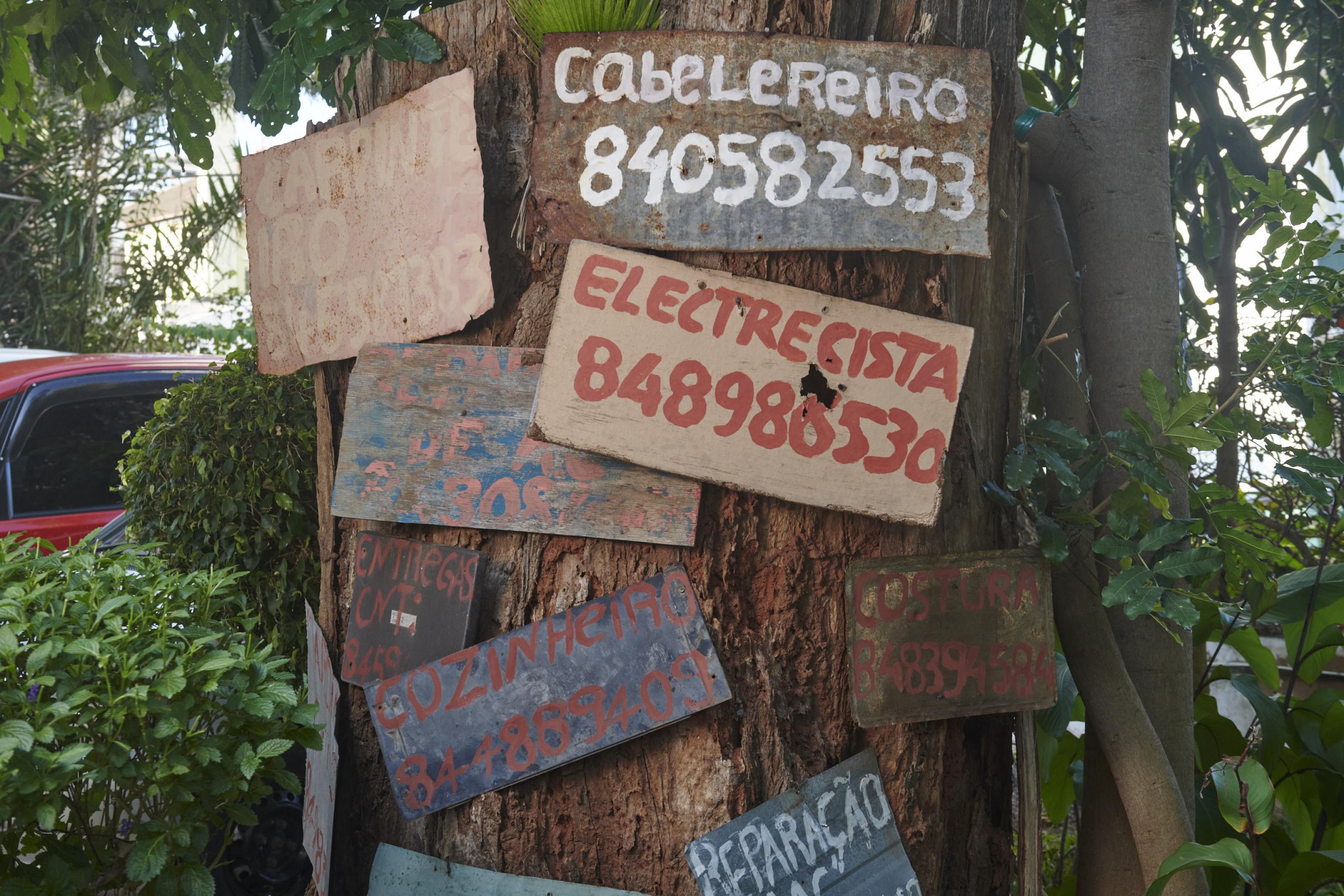 An einem Baumstamm sind mehrere handgemalte Schilder befestigt, darauf stehen die Berufe und Telefonnummern der Arbeiter