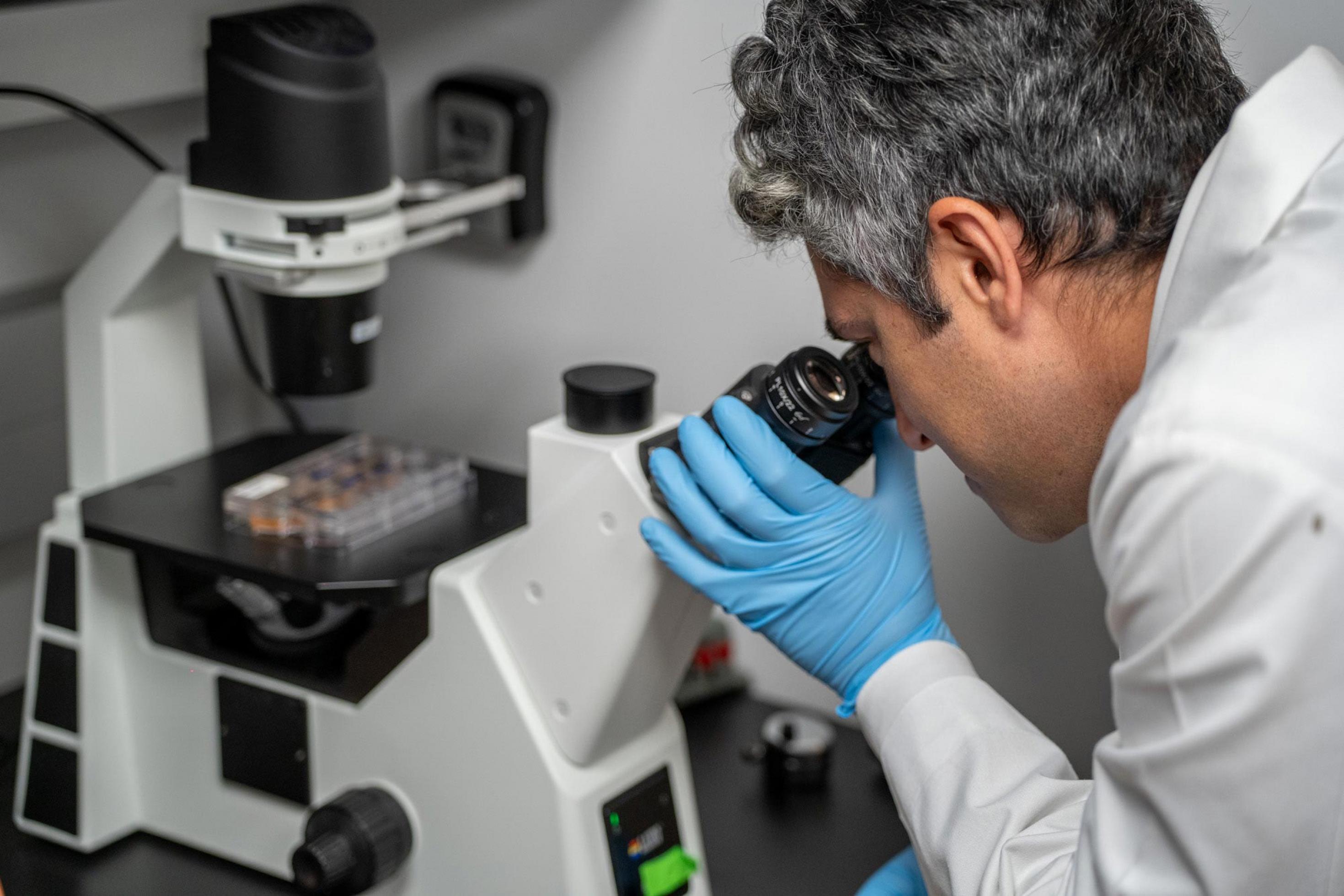 Ein Mann mit graumeliertem Haar, weißem Laborkittel und blauen Gummihandschuhen schaut durch ein Mikroskop.