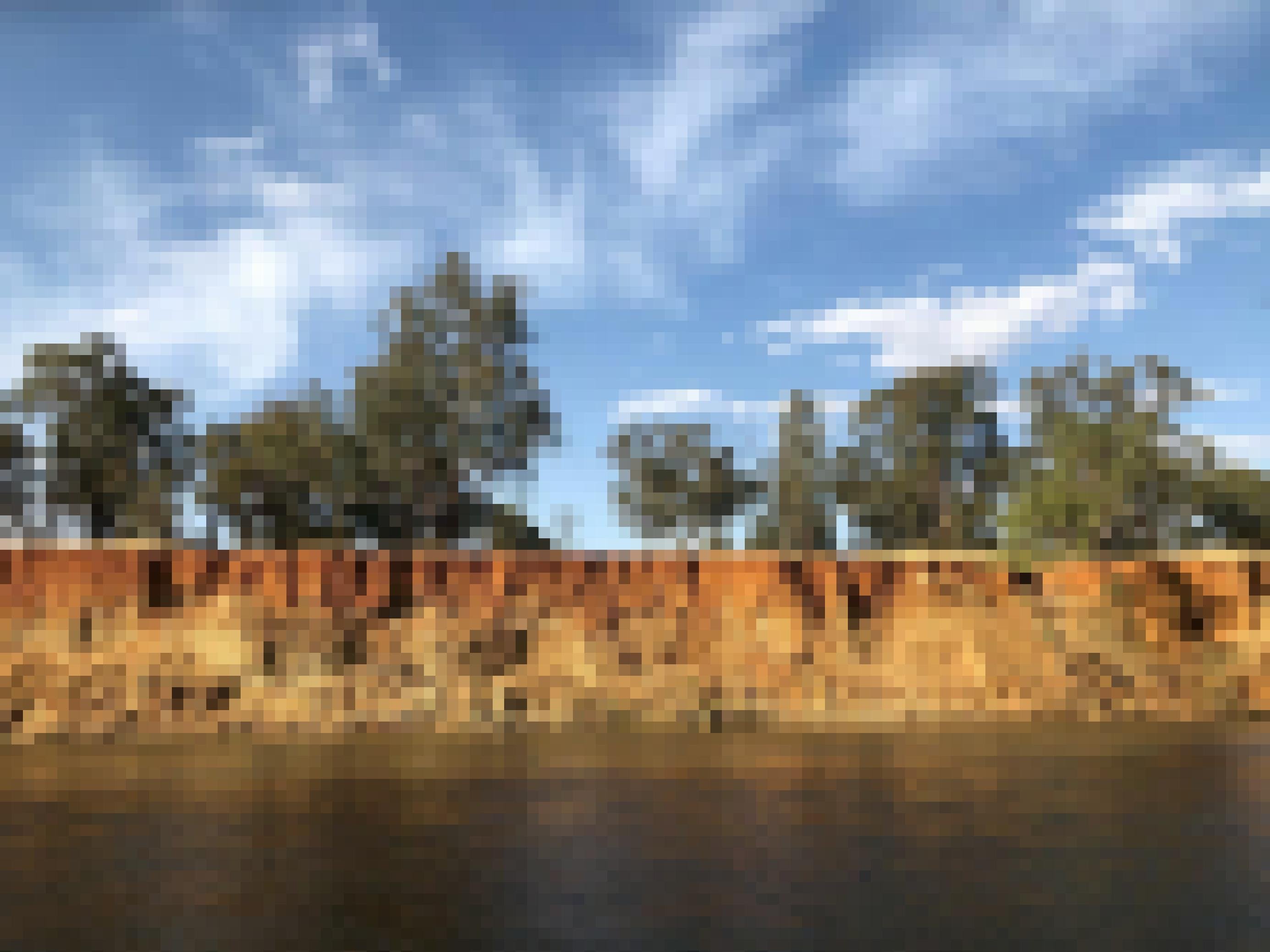 Durch den niedrigen Wasserstand auf dem Murray River in Südaustralien sieht man vom Wasser aus vor allem Steilküsten.