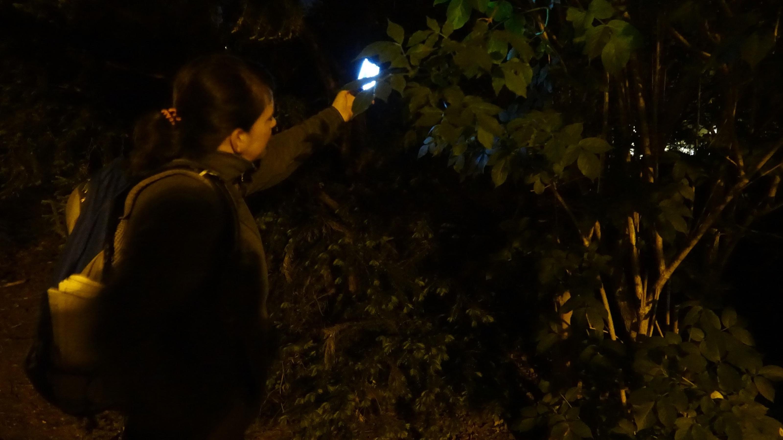 Daniela Friebel steht im Dunkeln zwischen Büschen. Sie hält etwas leuchtendes in der Hand.