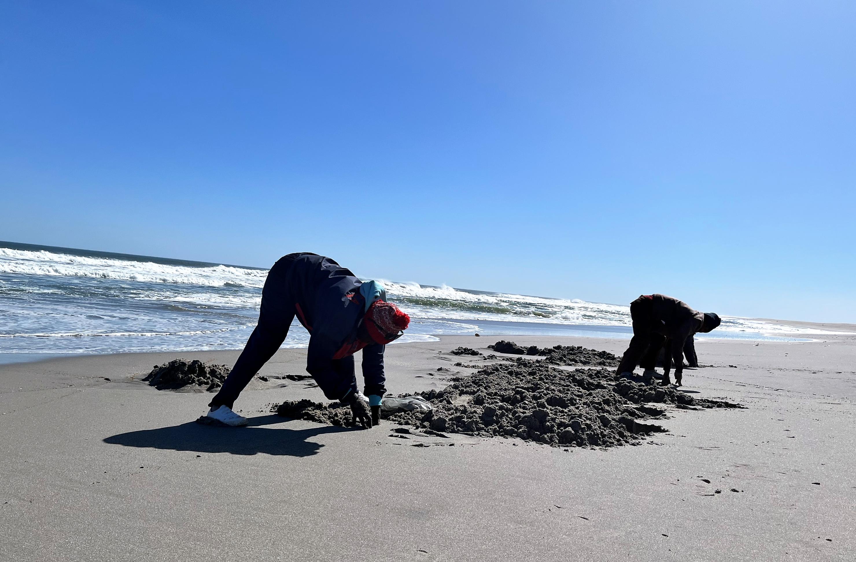 Zwei Fischer stehen breitbeinig auf dem Strand und graben vornübergebeugt im nassen Sand nach Ködern