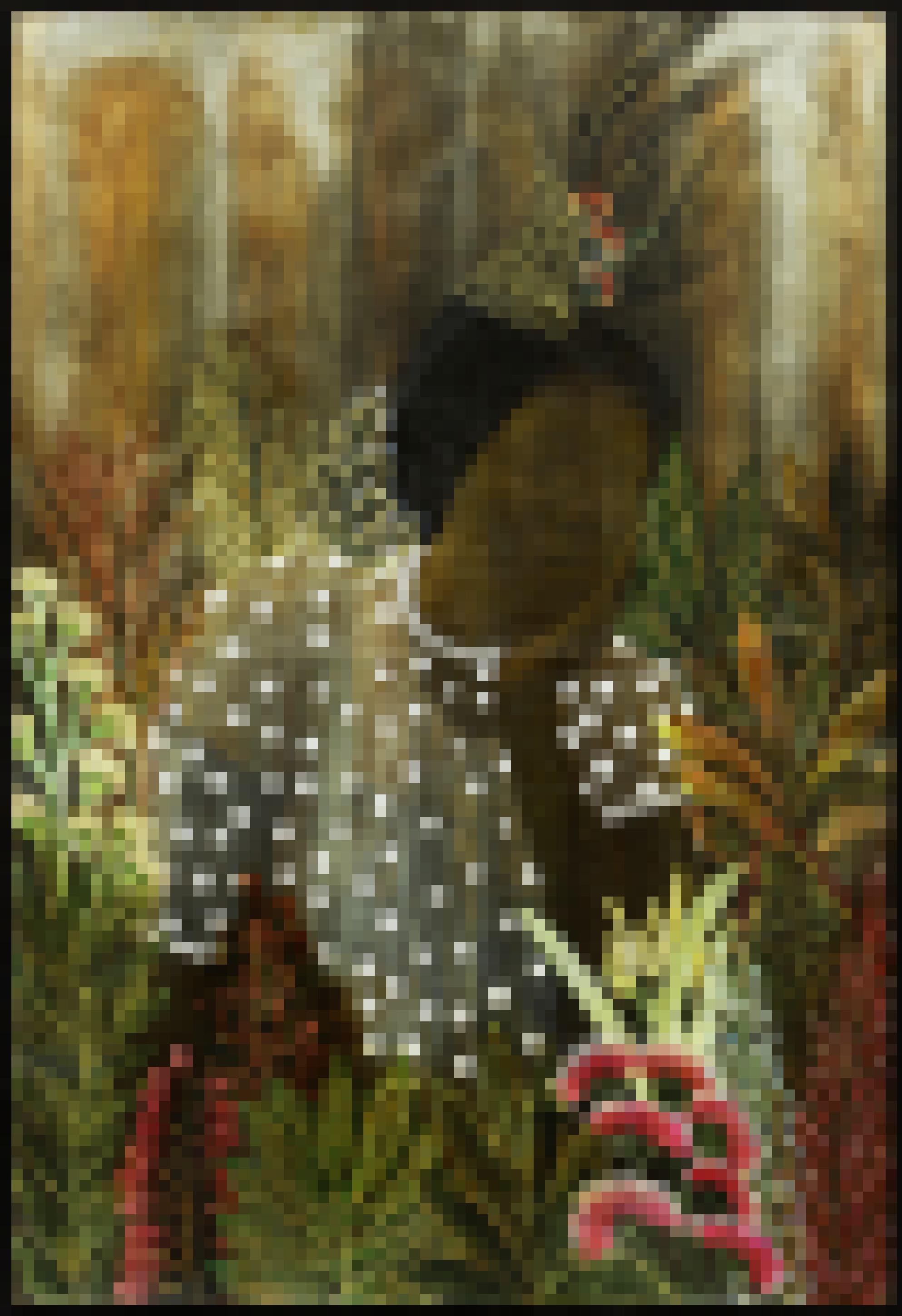 Das Bild von Tuli Mekondjo zeigt eine Frauenfigur