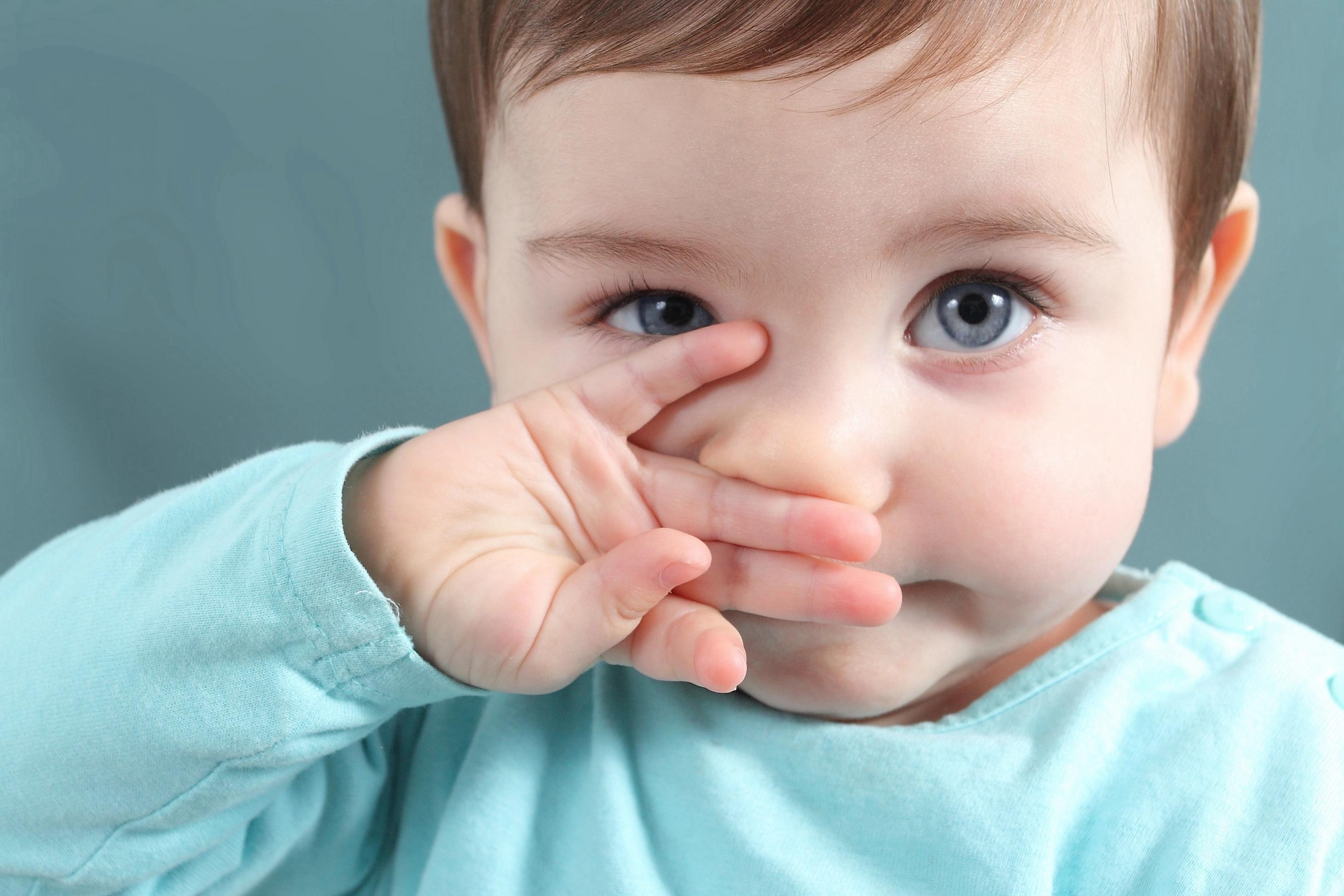 Ein kleines Kind mit blauen Augen und glatten braunen Haaren schaut in die Kamera. Mit der rechte Hand wischt es sich gerade über die Nase.