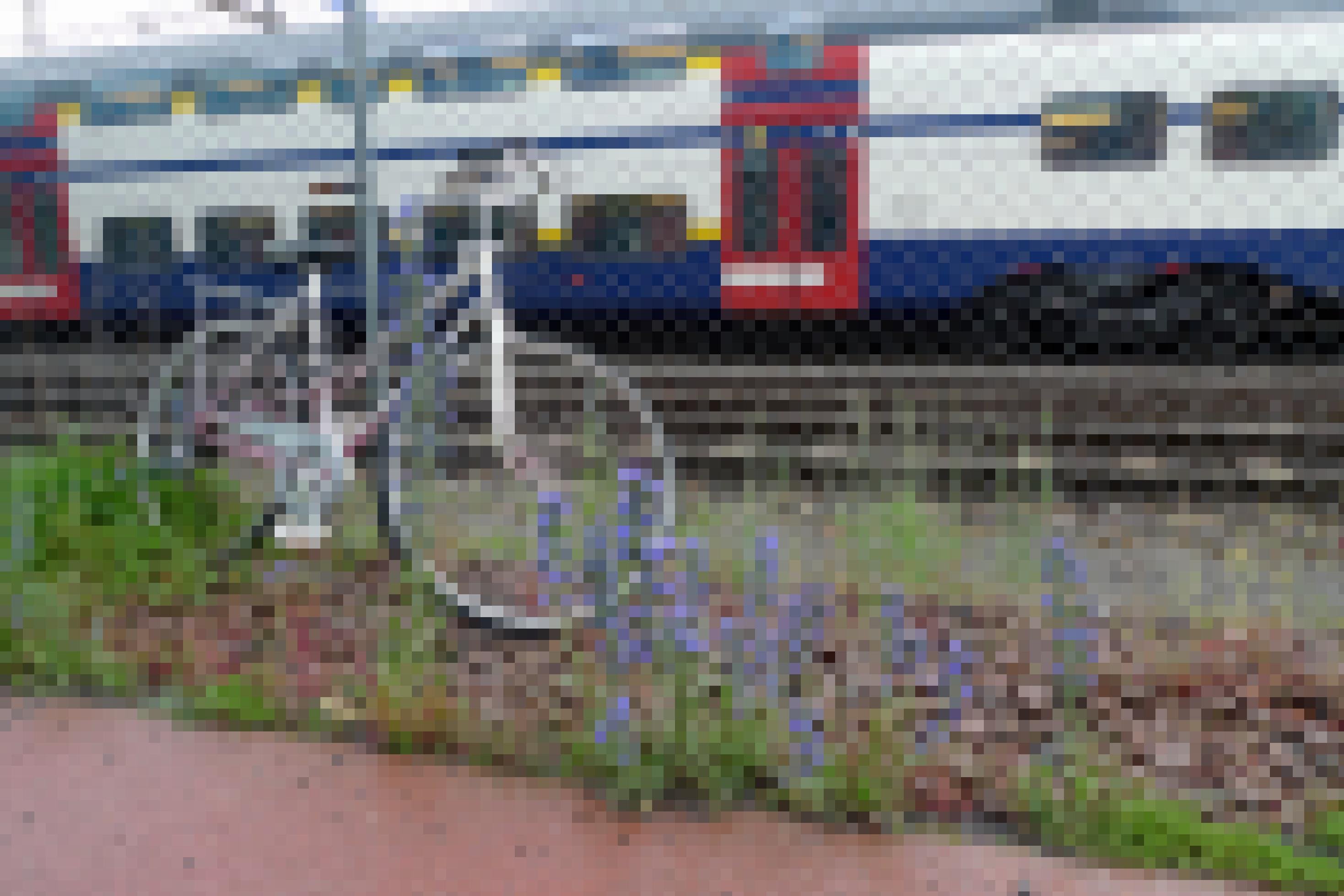 Ein blühender Natternkopf vor einem Fahrrad, das an einen Zaun angekettet ist. Dahinter fährt eine S-Bahn durch.