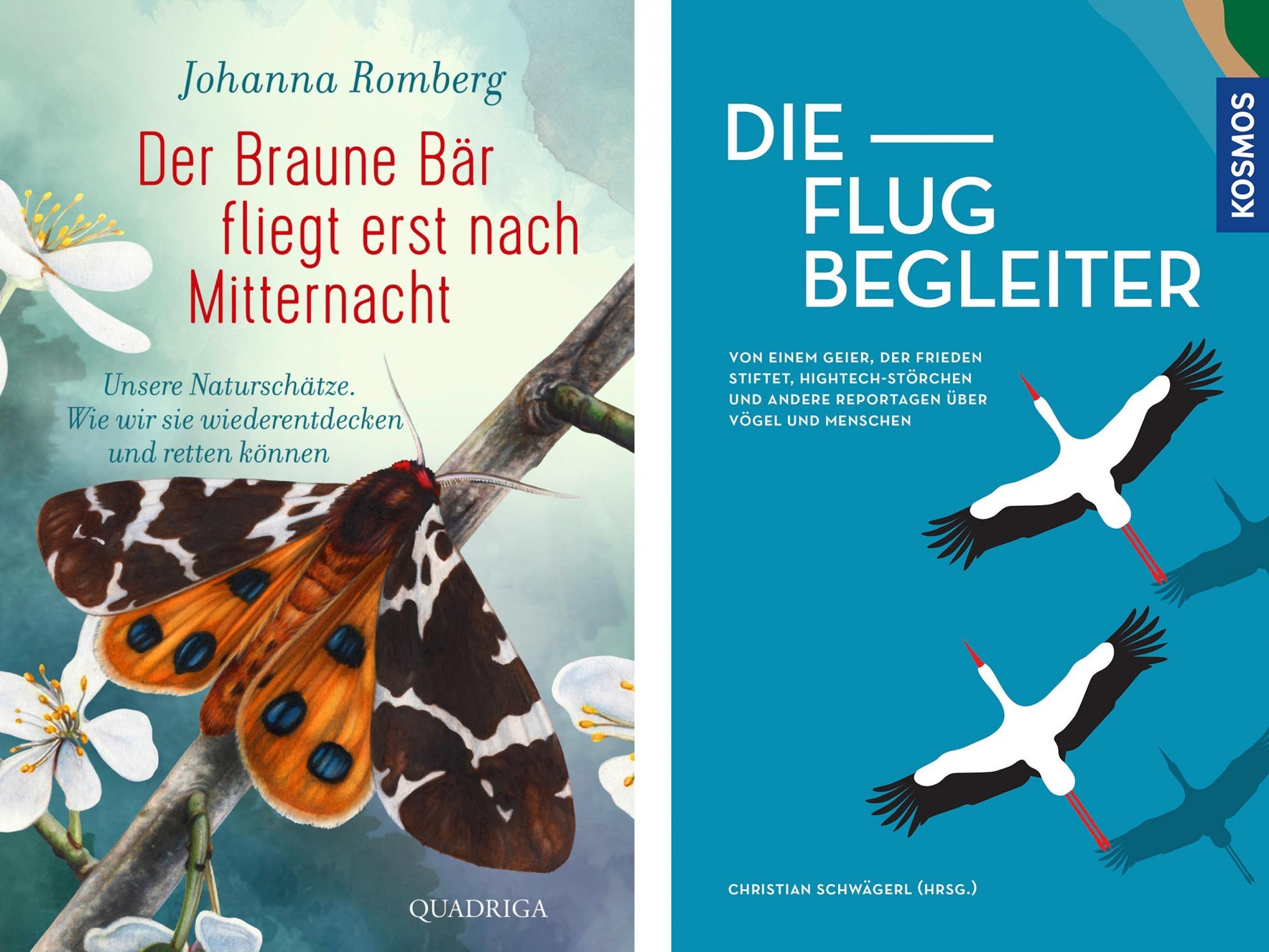 Das Bild zeigt die Cover der Bücher von Johanna Romberg (erscheint im Februar) und der Flugbegleiter (2020 erschienen).