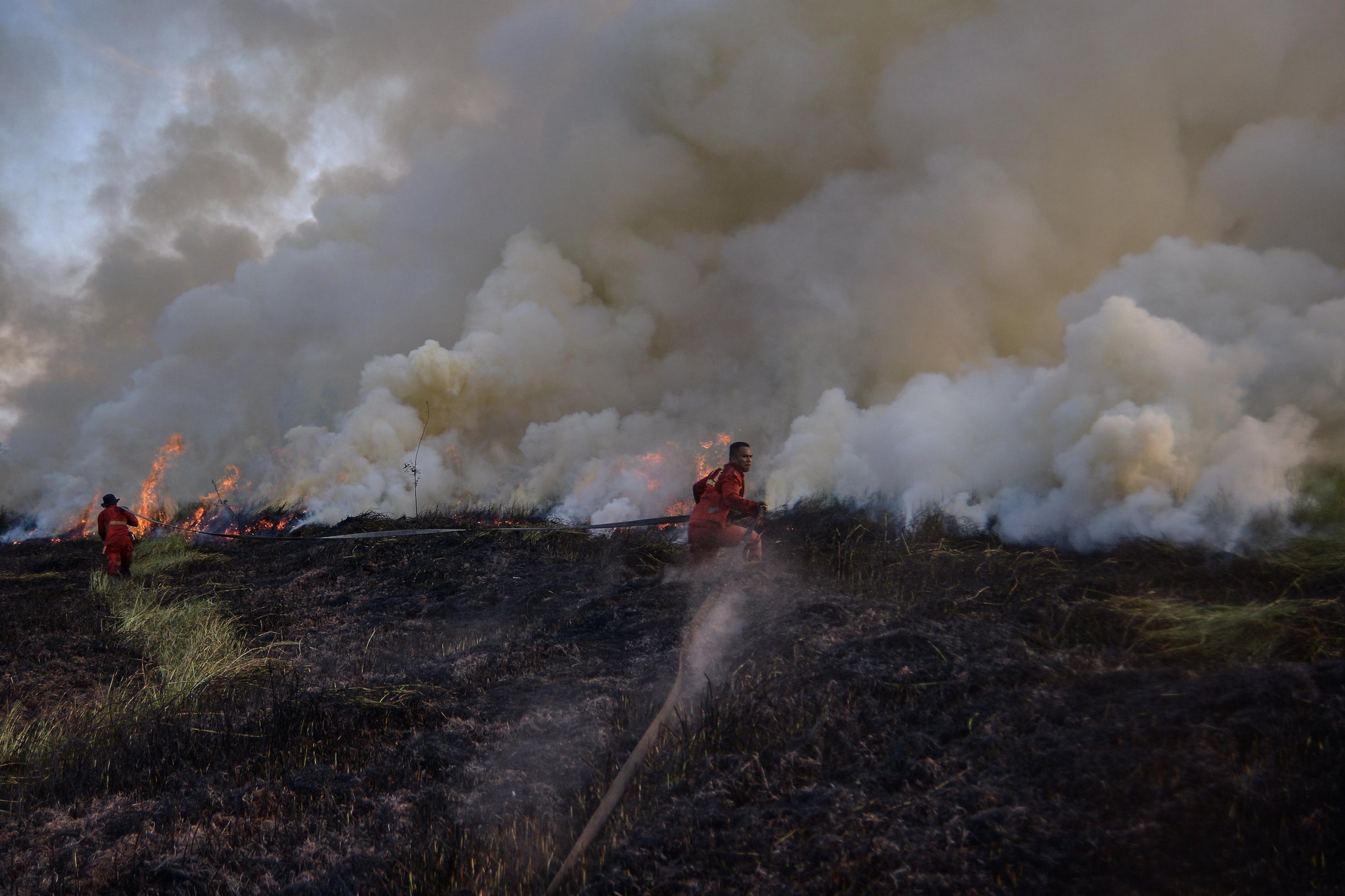 Im Hintergrund riesige Rauchwolken von einem Moorbrand, davor in der Landschaft zwei verzweifelte Feuerwehrleute.