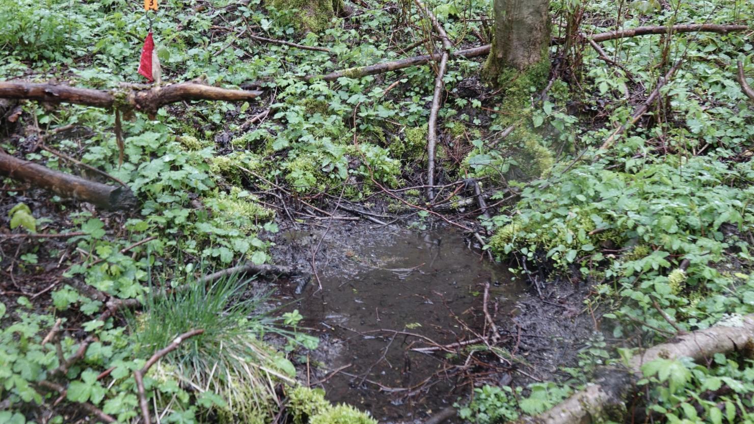 Quellensuche in der Rhön: Die letzten weißen Flecken auf der Landkarte