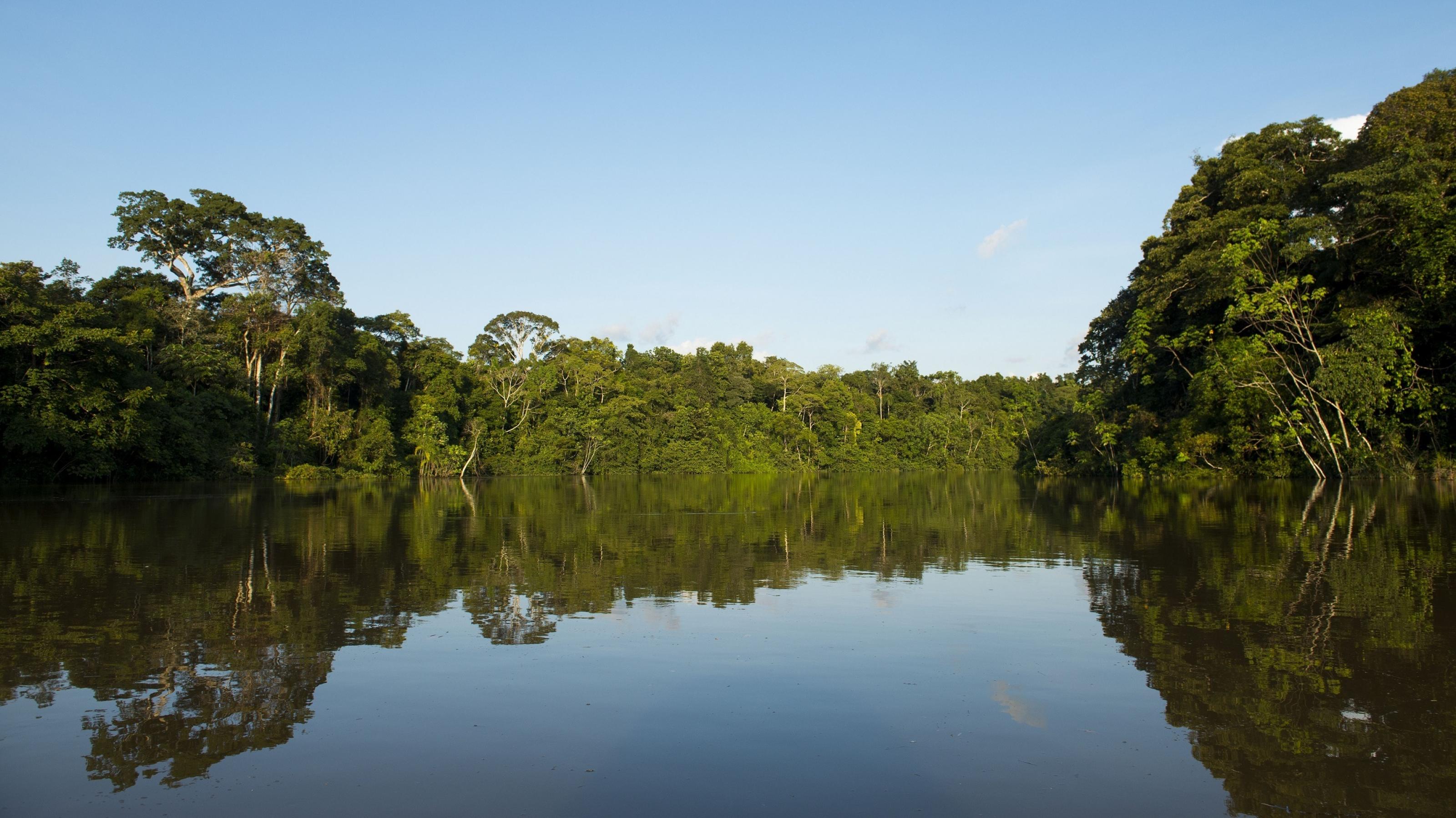 Der Yaguas-Fluss schlängelt sich durch das peruanische Amazonasgebiet. Er ist die Heimat der mythischen Urschlange Sachamama und beherbergt eine ungewöhnlich hohe Artenvielfalt.