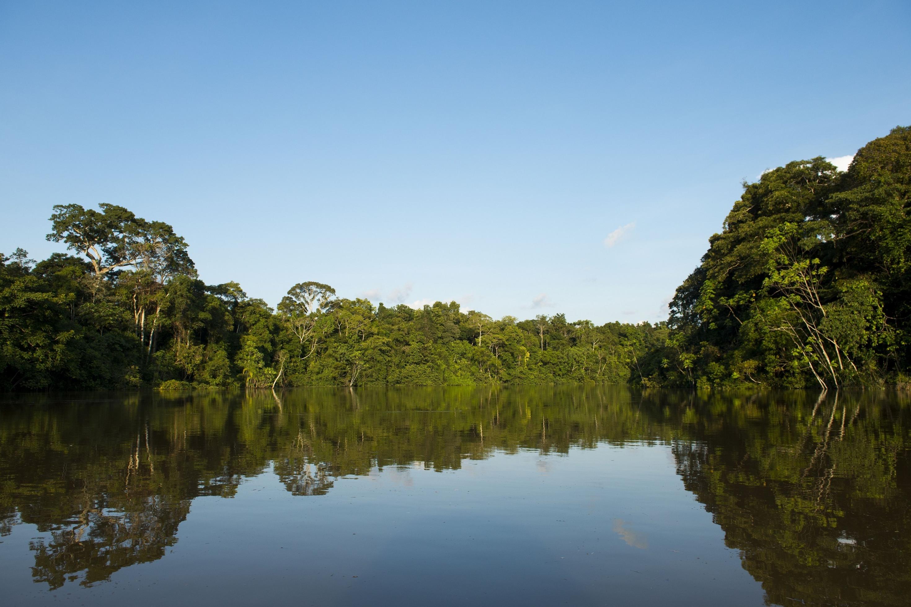 Der Yaguas-Fluss schlängelt sich durch das peruanische Amazonasgebiet. Er ist die Heimat der mythischen Urschlange Sachamama und beherbergt eine ungewöhnlich hohe Artenvielfalt.