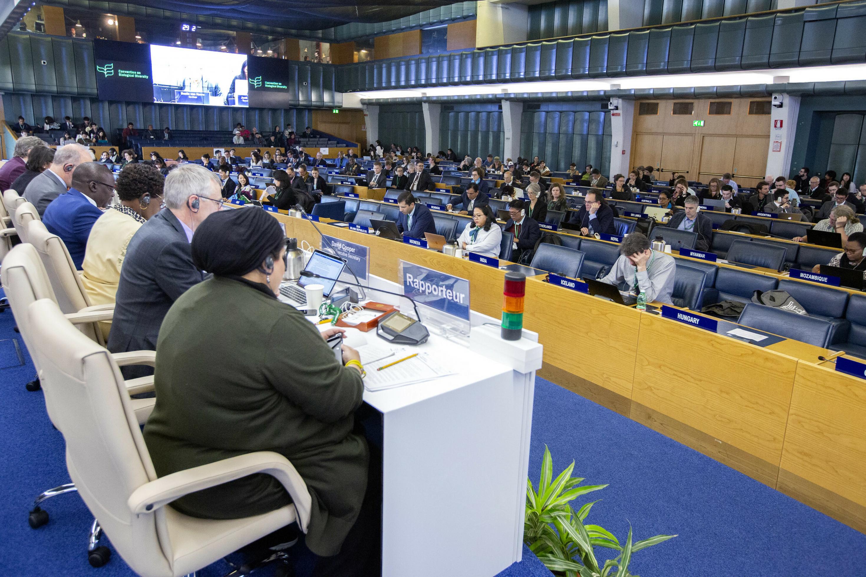 Ein Saal mit Unterhändlern der Staaten.