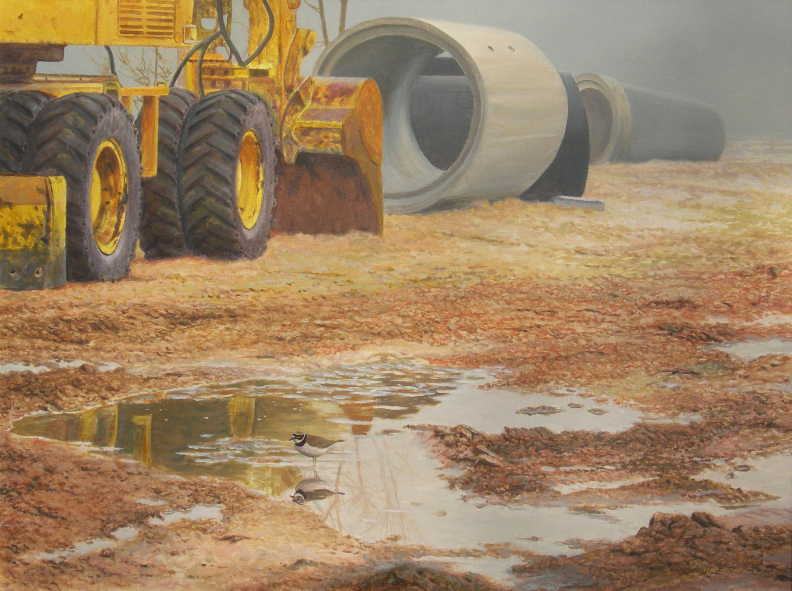 Ein Gemälde zeigt einen Flußregenpfeifer, dessen Lebensraum durch einen Bagger zerstört wurde