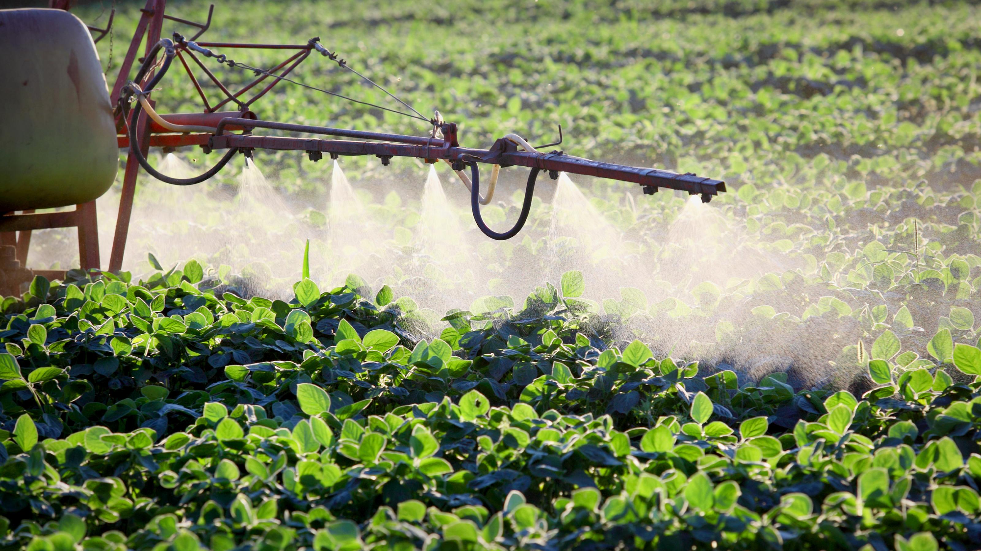 Pestizideinsatz auf einem Sojafeld (Symboldbild)