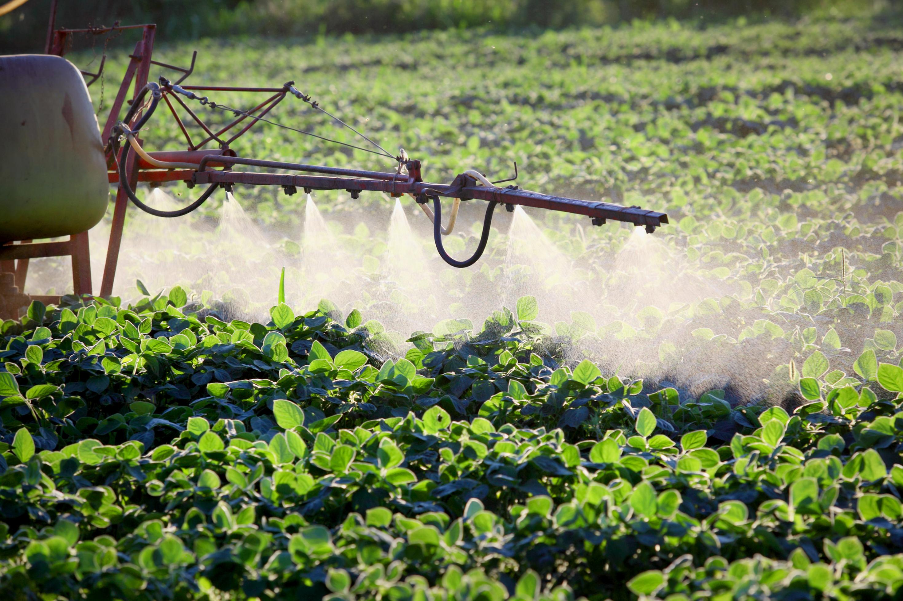 Pestizideinsatz auf einem Sojafeld (Symboldbild)