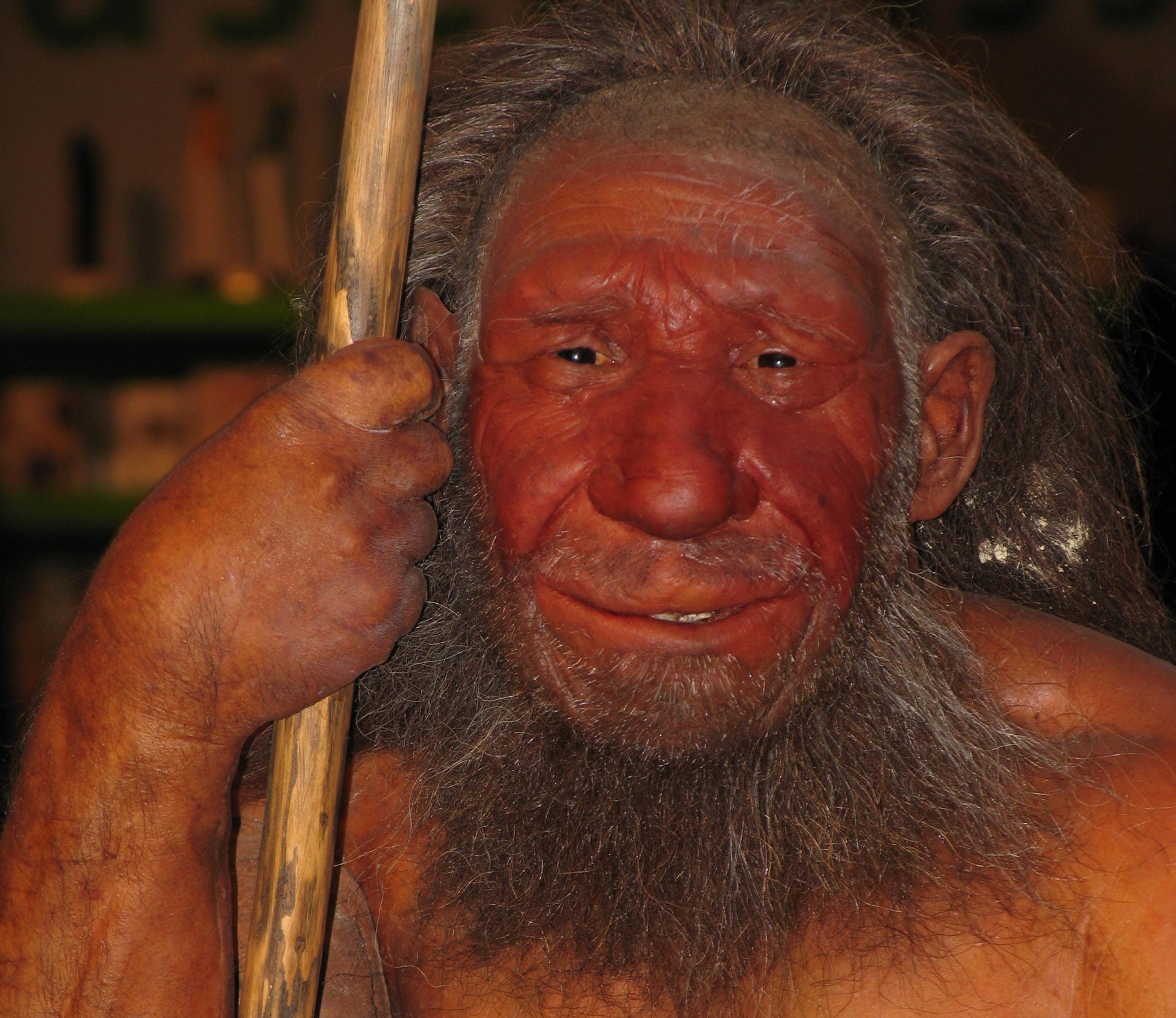 Das Foto zeigt einen muskelbepackten Mann mit gewaltiger Nase und breitem Mund, der sich auf seinen Wurfspeer stützt – es ist die Rekonstruktion eines Neandertalers am Neanderthal Museum in Mettmann. Forscher entdeckten jetzt Genbruchstücke von Neandertalern bei heutigen Menschen in Afrika.