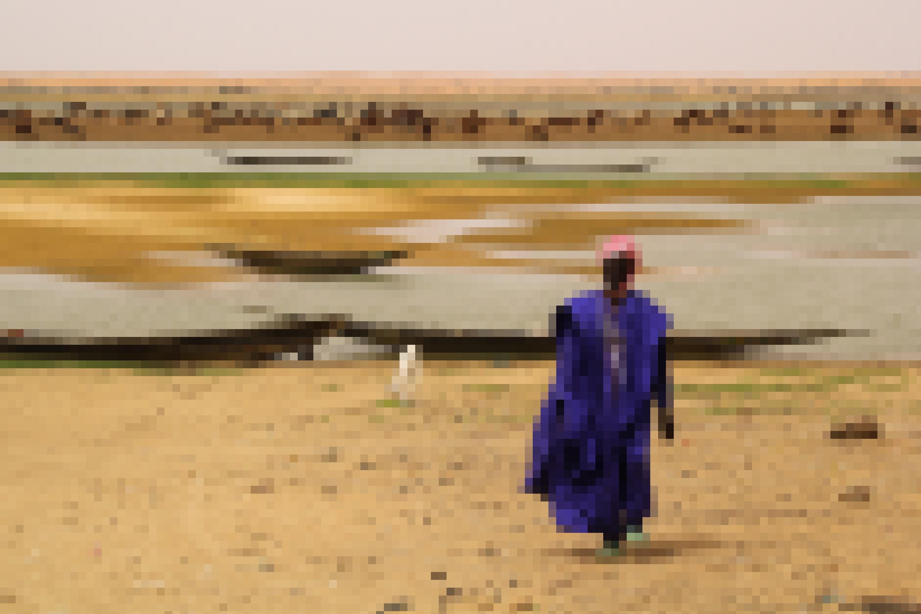 Ein Mann in einem violetten Gewand und einem Turban geht vom Niger-Fluss weg auf den Betrachter zu. Im Hintergrund ist zu sehen, wie breit der Niger ist, immer wieder von Sandbänken durchbrochen. Vieh trinkt aus dem Fluss.