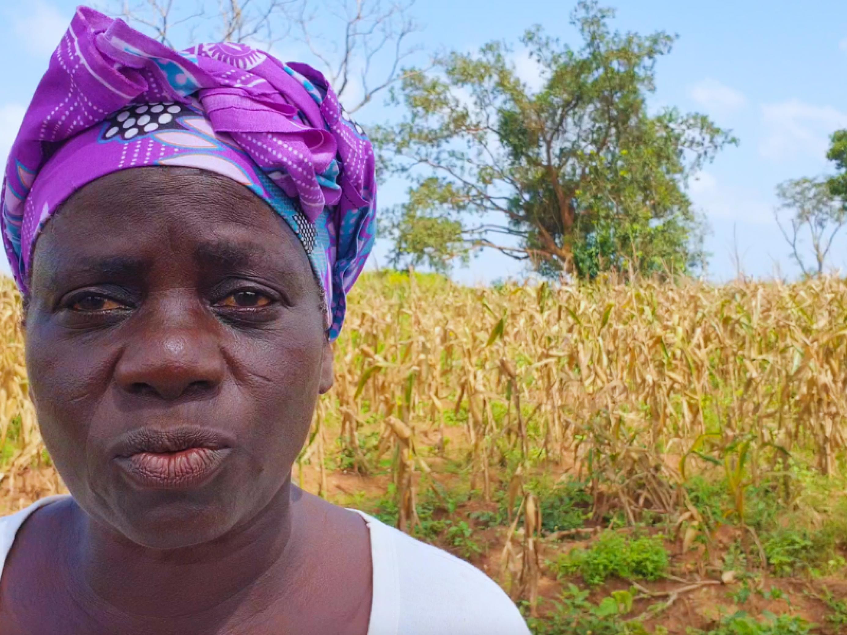 Eine Bäuerin in ihrer Maisfarm in Kwara, Süd-Zentral-Nigeria