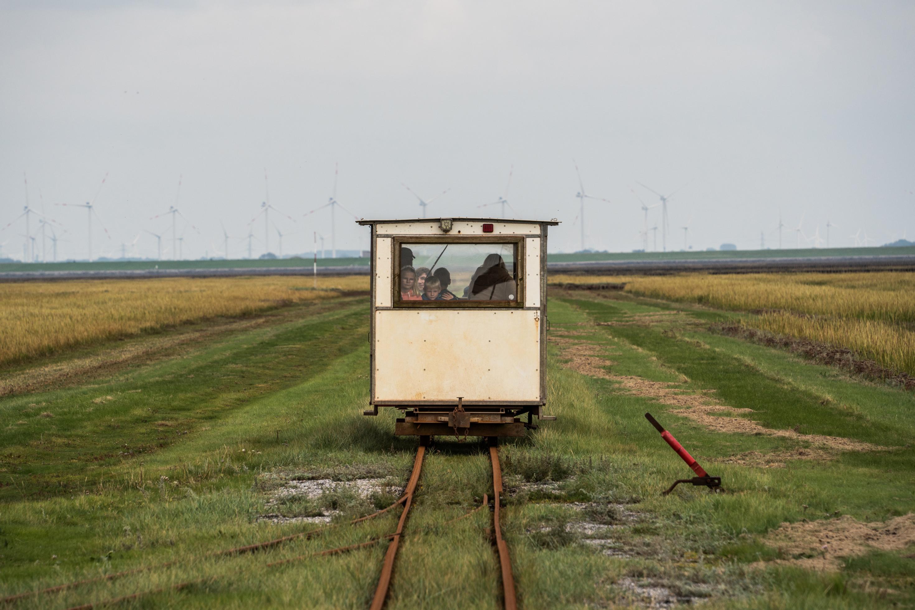 kleiner Schienentransportwagen fährt durch Salzwiesen