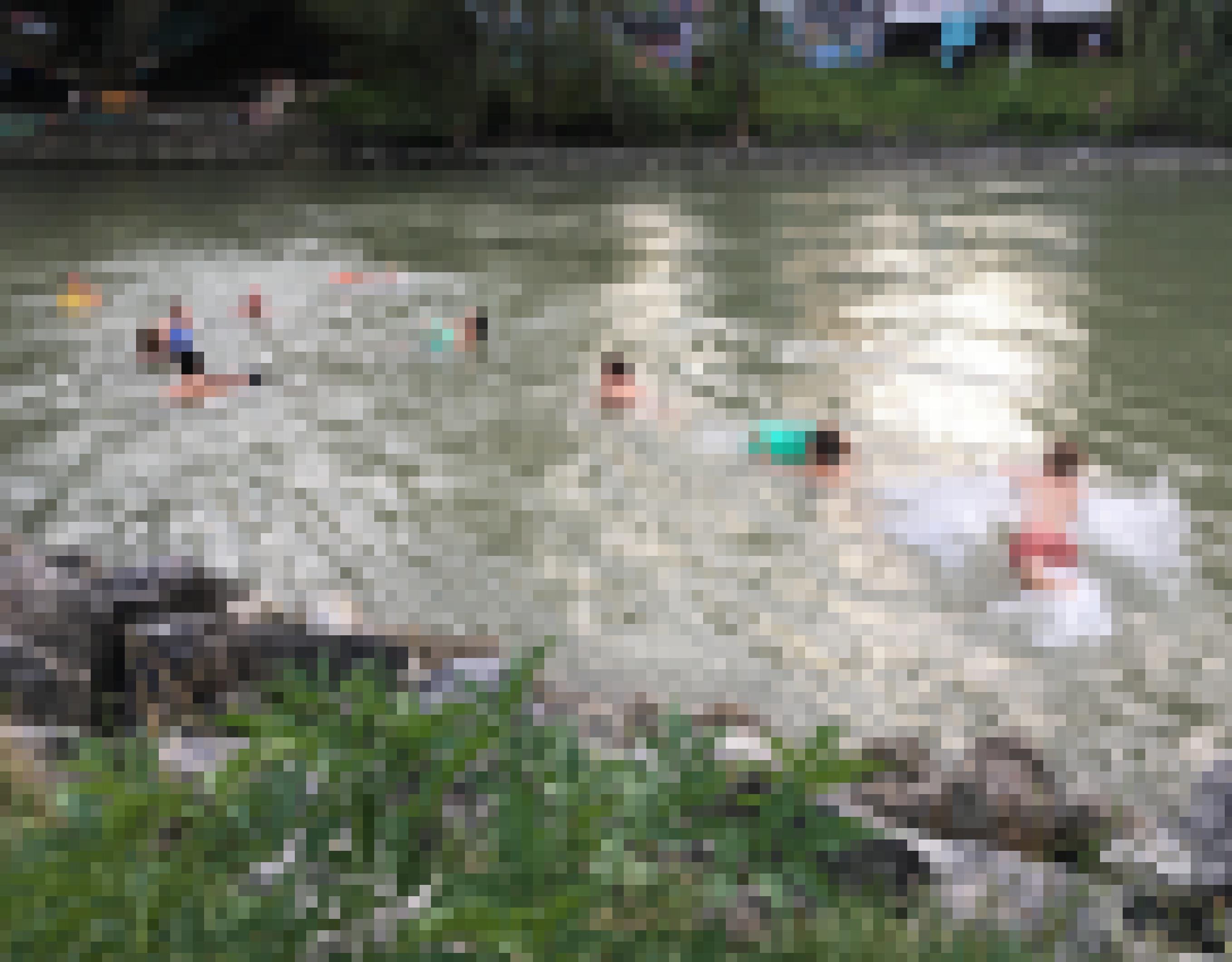 Beim Sprung ins kalte Wasser des Wiener Donaukanals.