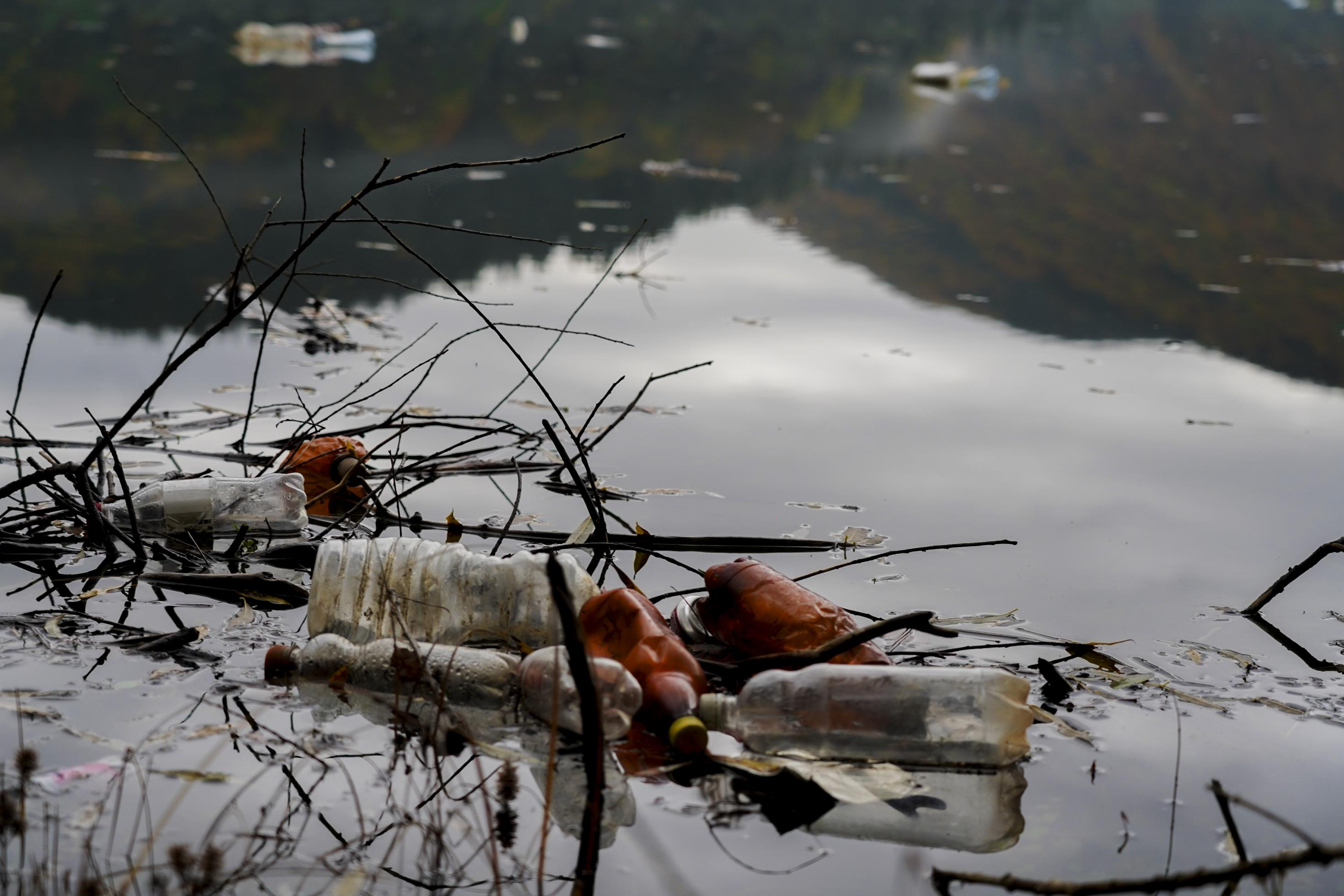 Plastikflaschen im See.