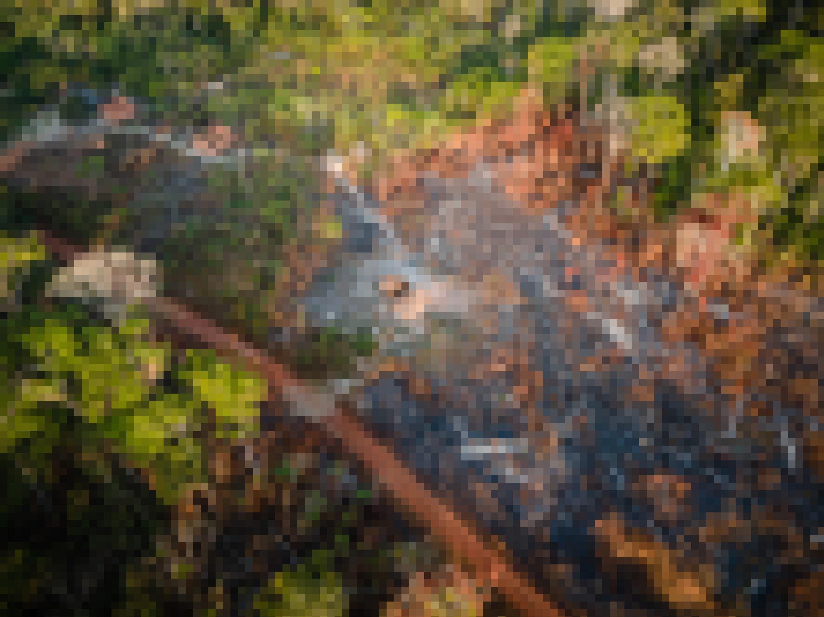 Eine Luftaufnahme zeigt eine Piste durch den Wald auf deren rechter Seite die Bäume abgebrannt und Hütten zerstört sind. Viele illegale Siedler machten sich die Corona-Pandemie zunutze und holzten den Urwald ab.