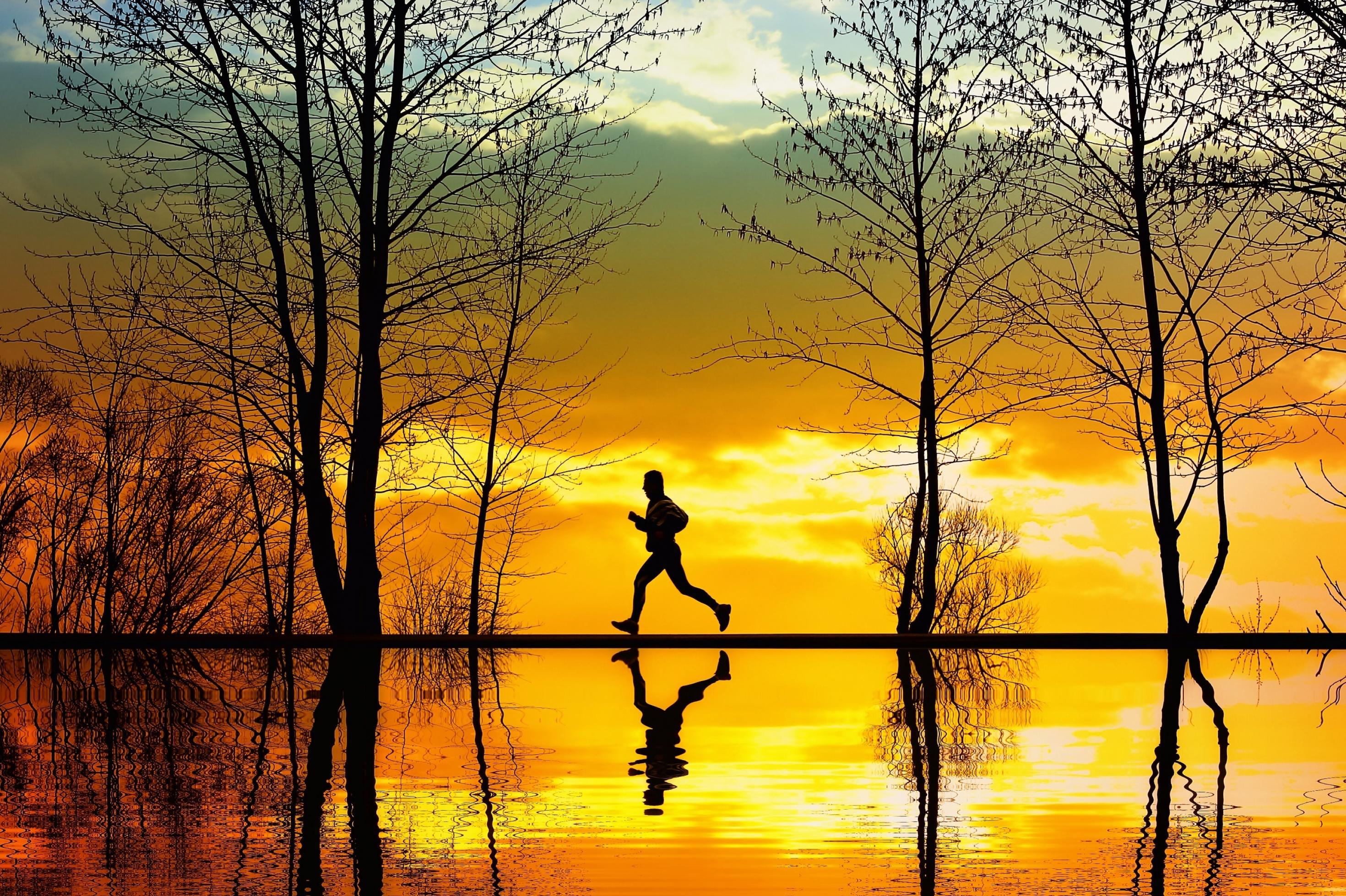 Silhouette eines entfernt laufenden Mannes. Neben die ebenfalls schwarzen Silhouetten zweier Bäume. Vor ihm Wasser, hinter ihm Himmel – beides vom Sonnenuntergang orange gefärbt.