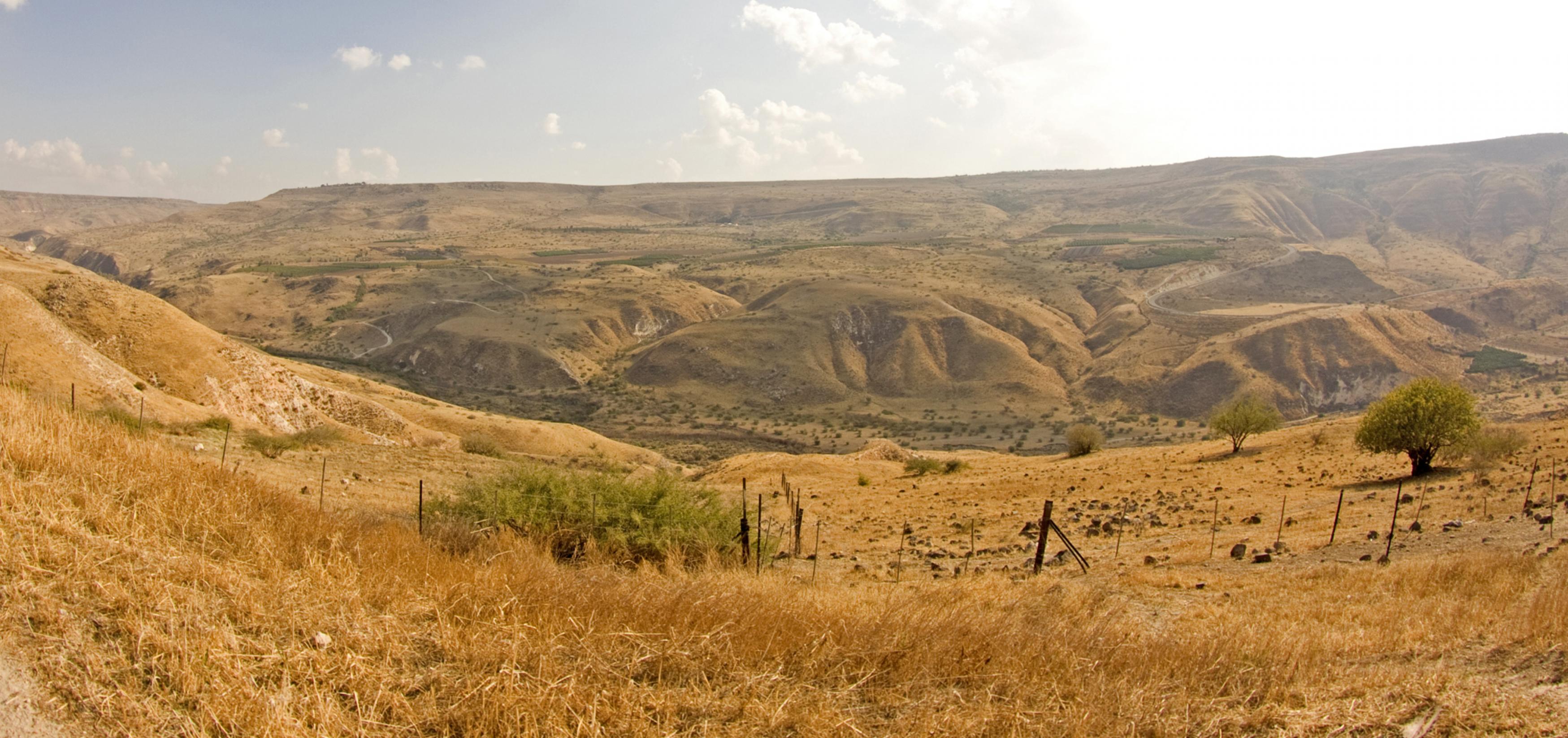 eine Landschaft mit Hügeln und Büschen [AI]