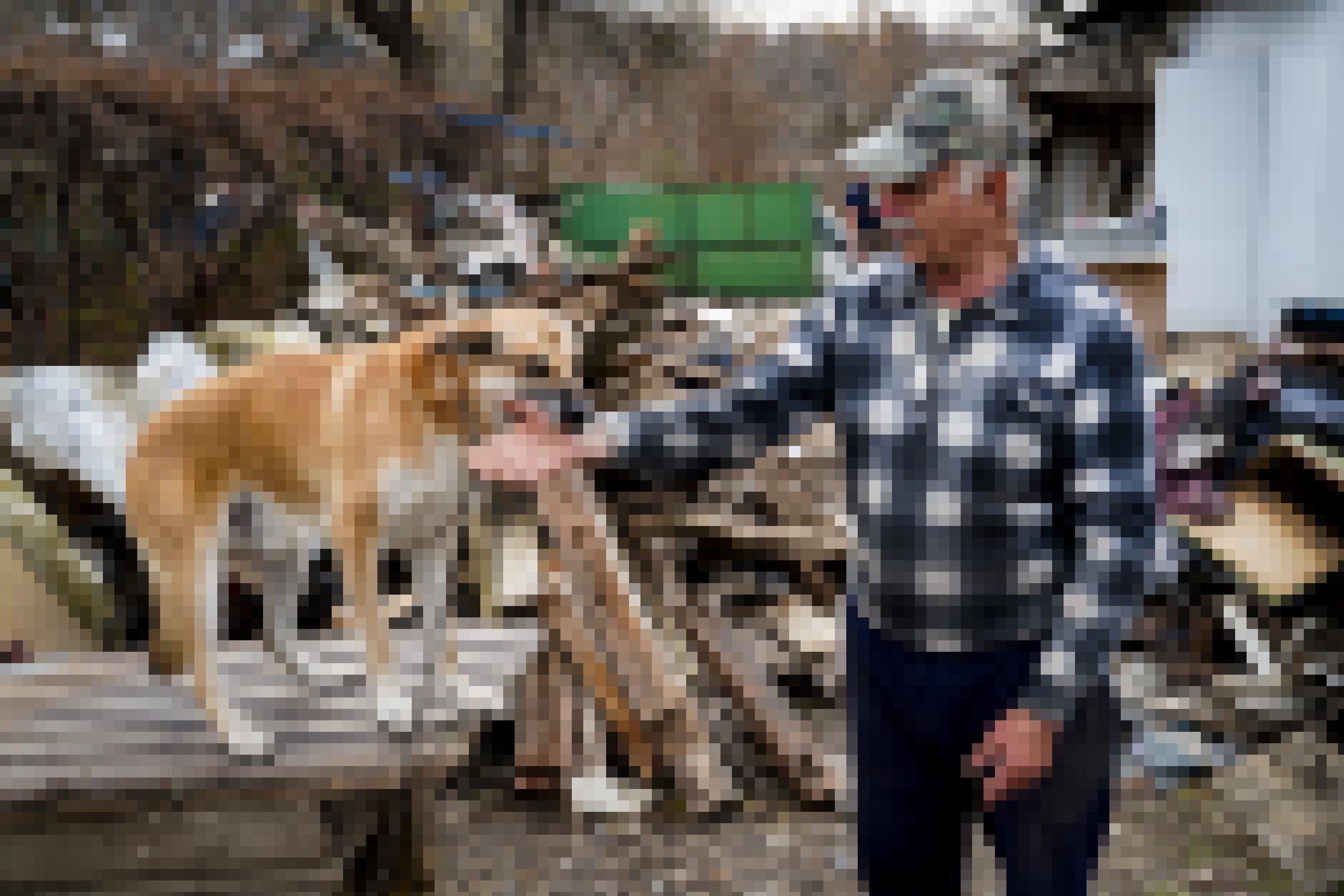 Eugenii Puhatsch spielt mit seinem Hund Filja im Vorgarten. Im Hintergrund liegen noch Trümmer von seinem Haus.