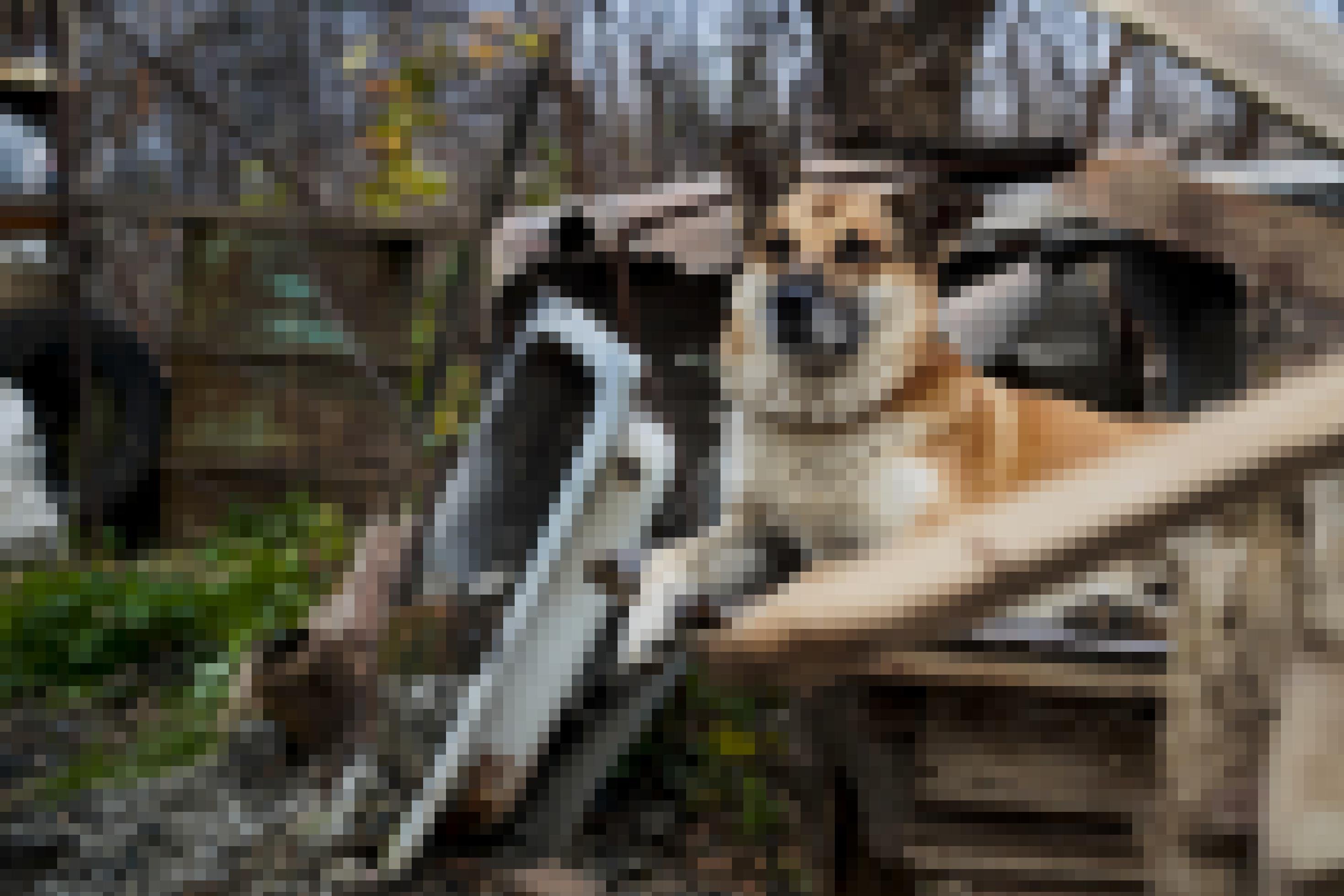 Schäferhund-Mix Filja liegt angekettet auf seiner Hundehütte.Im Hintergrund sind Trümmer zu sehen.