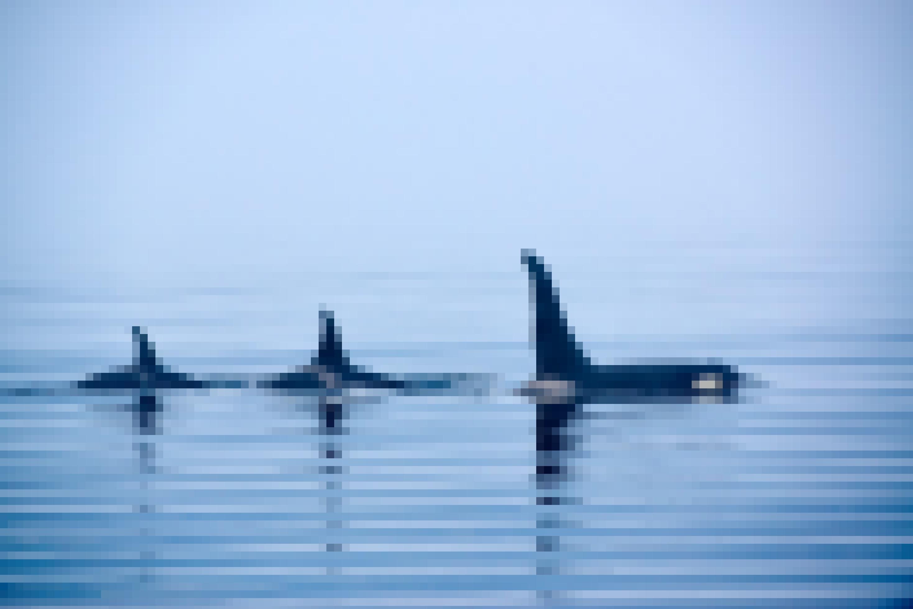 Orcas schwimmen in ruhigem Gewässer