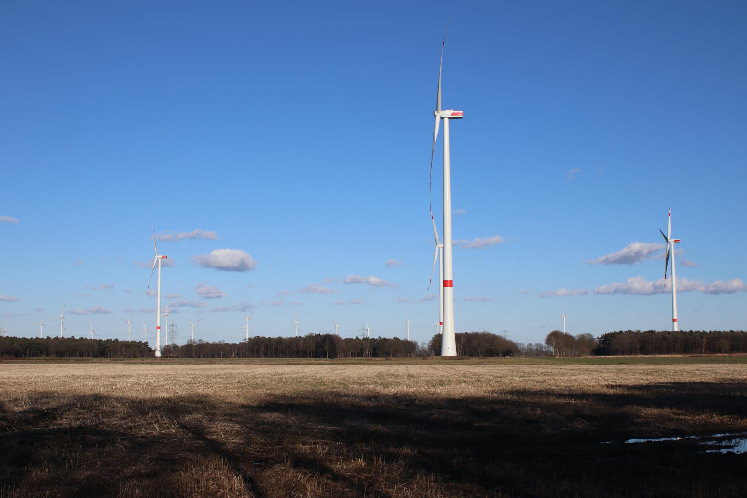 Felder, am Horizont stehen Windräder.