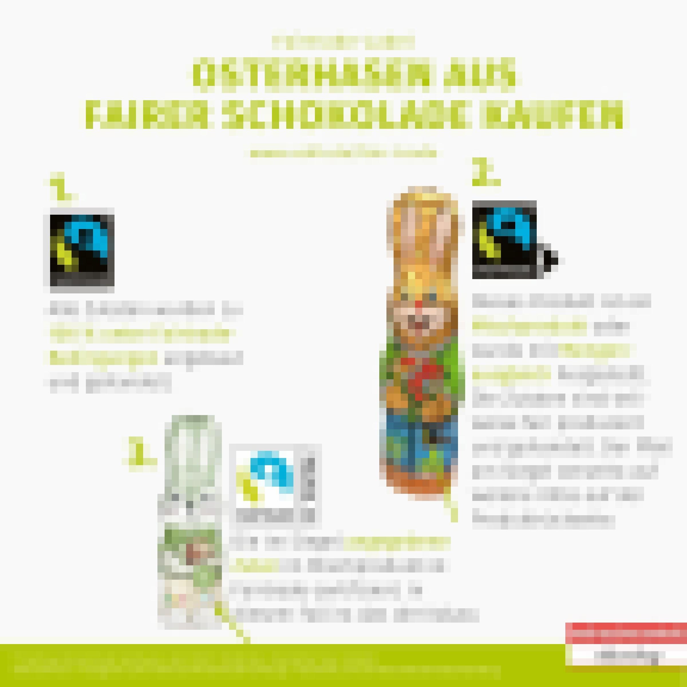 Drei Osterhasen vor weißem Hintergrund. Erklärt werden die drei verschiedenen Fairtrade-Siegel: Logo auf schwarzem Hintergrund: Das Siegel kennzeichnet Produkte, die zu 100 % aus fairer Produktion stammen. 2. Logo auf schwarzem Hintergrund mit Pfeil: Das Logo mit dem Pfeil ist auf Mischprodukten oder Produkten mit Mengenausgleich zu finden. 3. Logo auf weißem Hintergrund mit genanntem Rohstoff: Das Siegel kennzeichnet Produkte, bei denen ein einzelner Rohstoff – beispielsweise Kakao aus fairem Handel bezogen wird.