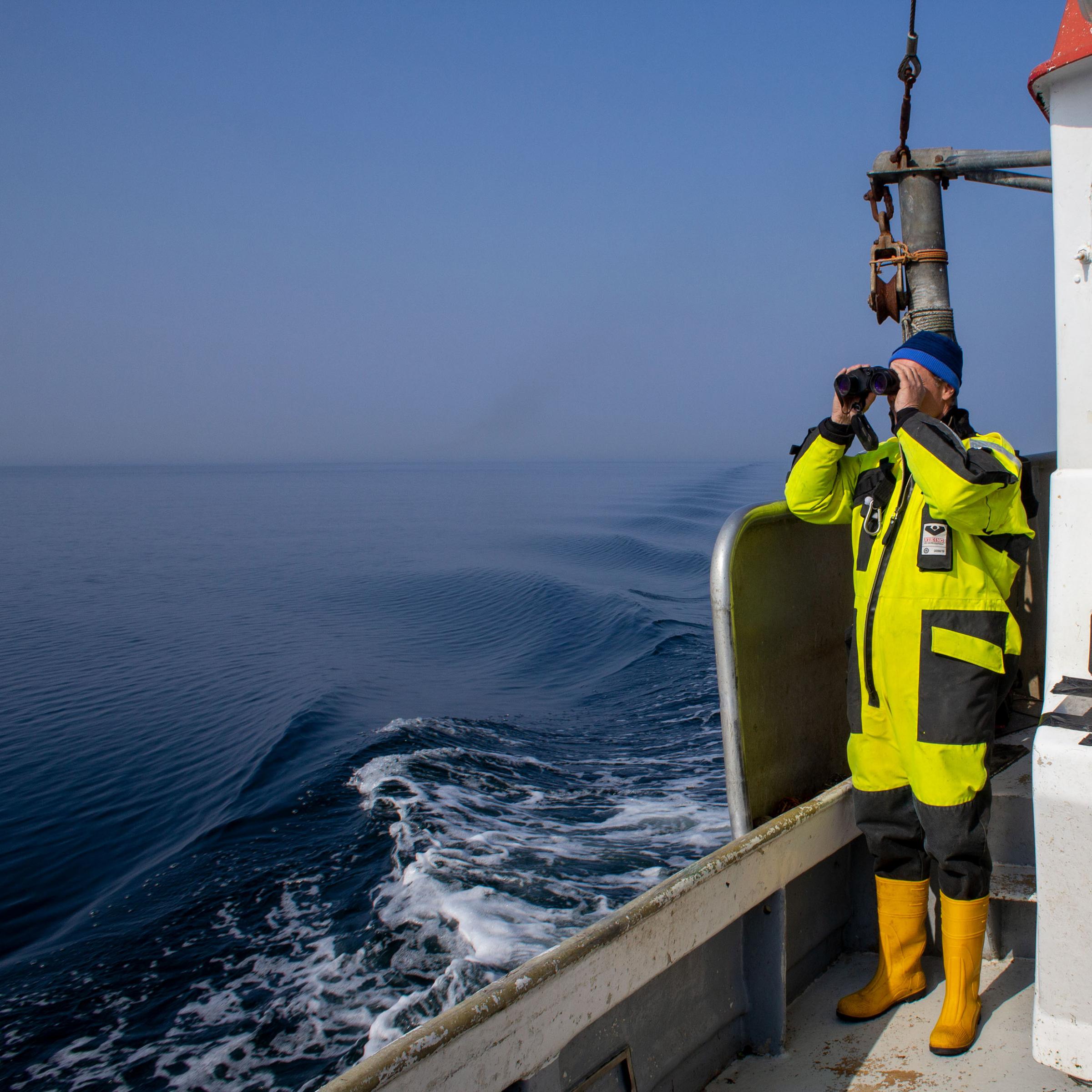 Ein Wissenschaftler steht an Deck des Fischerboots und schaut durch ein Fernglas auf die sehr ruhige Ostsee.