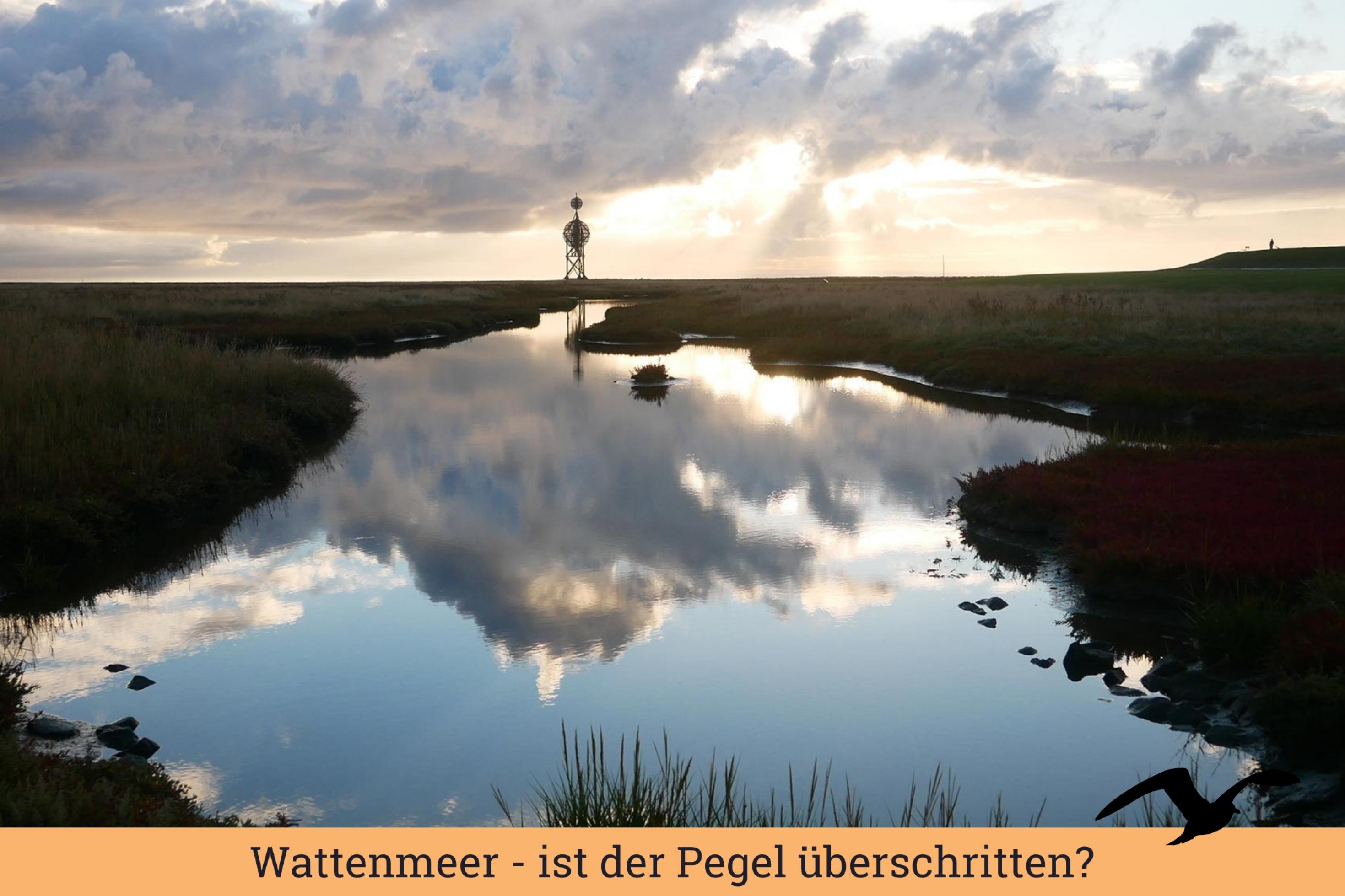 Ein bewölkter Himmel spiegelt sich in einem Tümpel zwischen Salzwiesen.