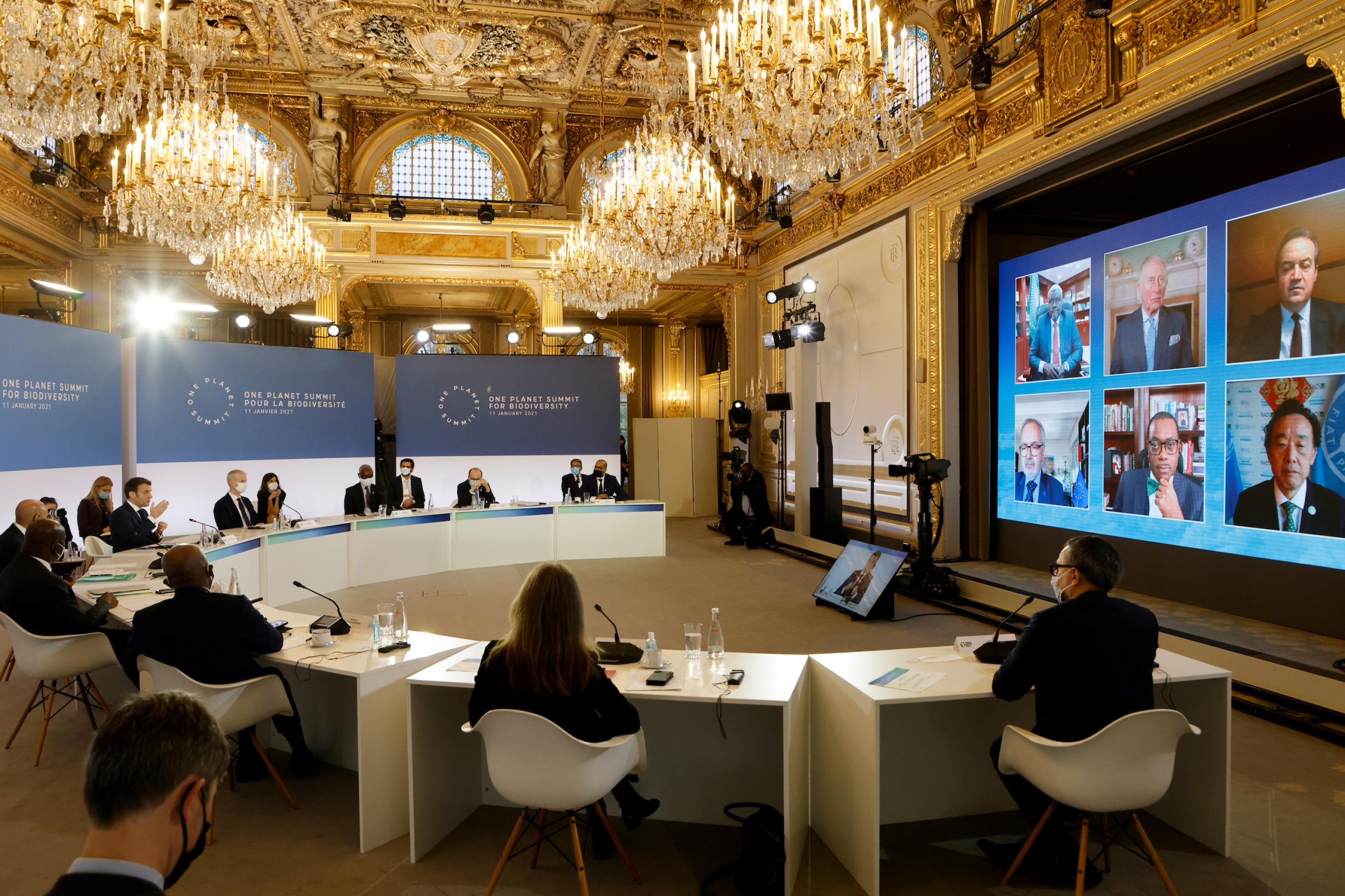 Das Foto zeigt den französischen Staatspräsidenten Emmanuel Macron, wie er beim One Planet Summit im Elysee Palast spricht. 60 Regierungsvertreter einigten sich dort, bis 2030 mindestens 30 Prozent ihrer Länder unter Schutz zu stellen