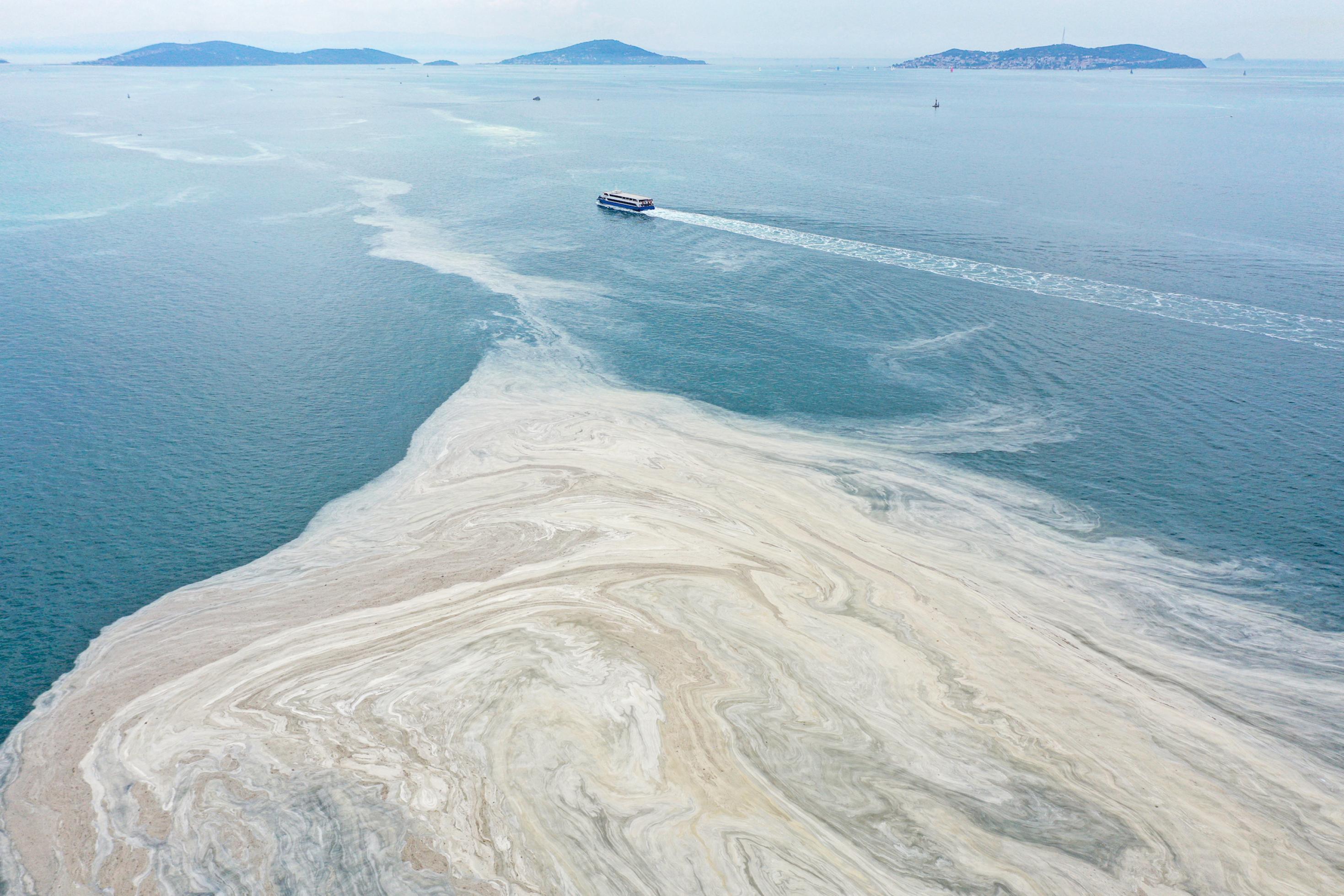 Das Foto zeigt den ekligen Schleimteppich, der im Juni 2021 vor der Küste Istanbuls gewachsen ist. Die Ursache für das Algenwachstum ist zu viel Dünger, Dreck und warme Wassertemperaturen.