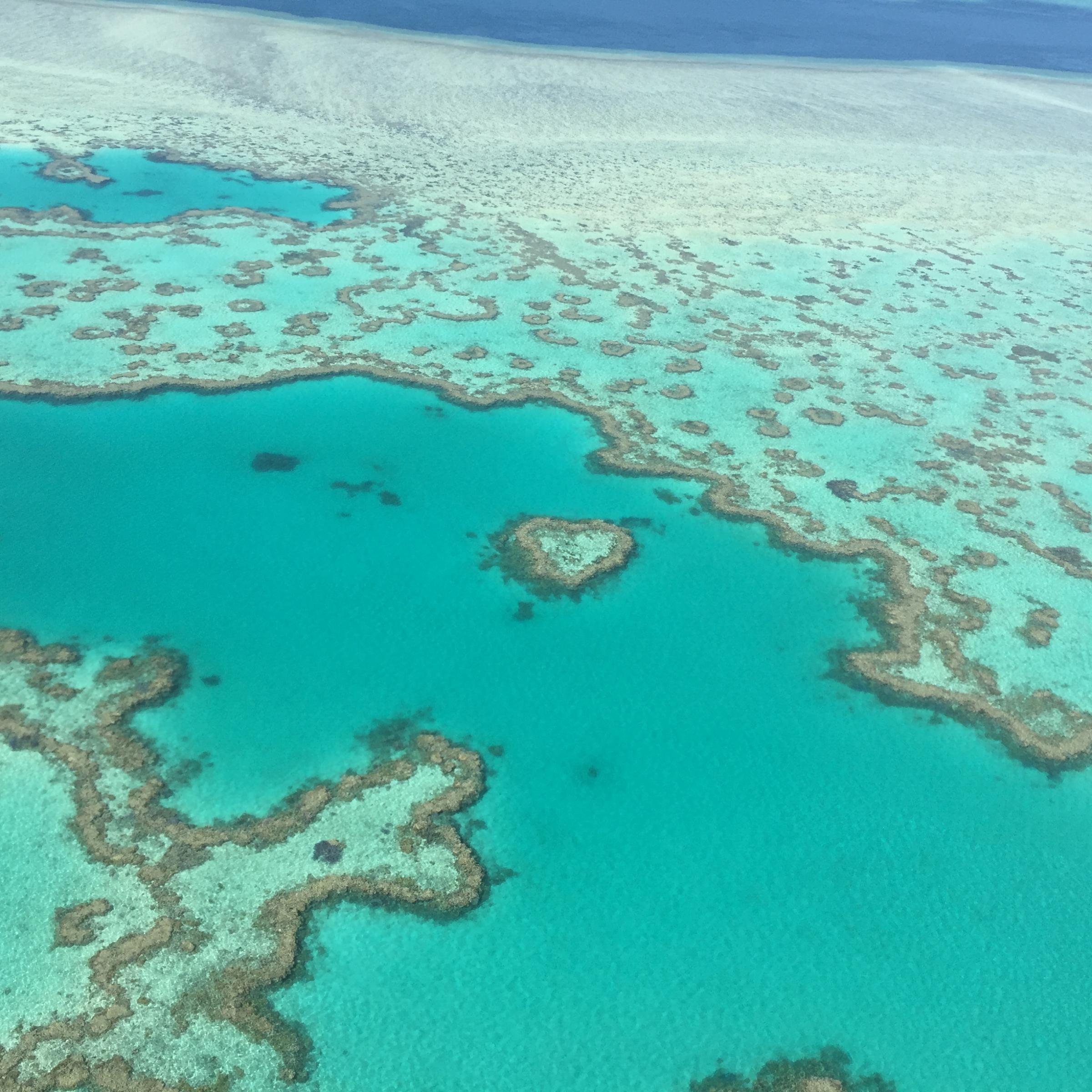 Foto zeigt ein Luftbild auf Riffe des Great Barrier Reef Marine Parks vor Australien