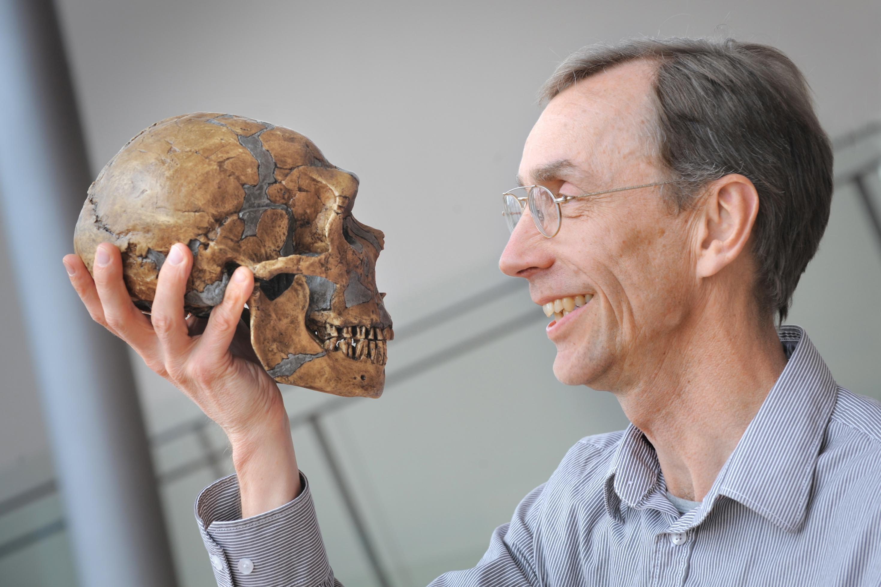 Rechts ist der Kopf des Wissenschaftlers Svante Pääbo in blau-weiß gestreiftem Hemd zu sehen, der links zur Seite blickt auf einen Neandertaler-Schädel, den er in seiner rechten Hand so trägt, dass beide sich anschauen.