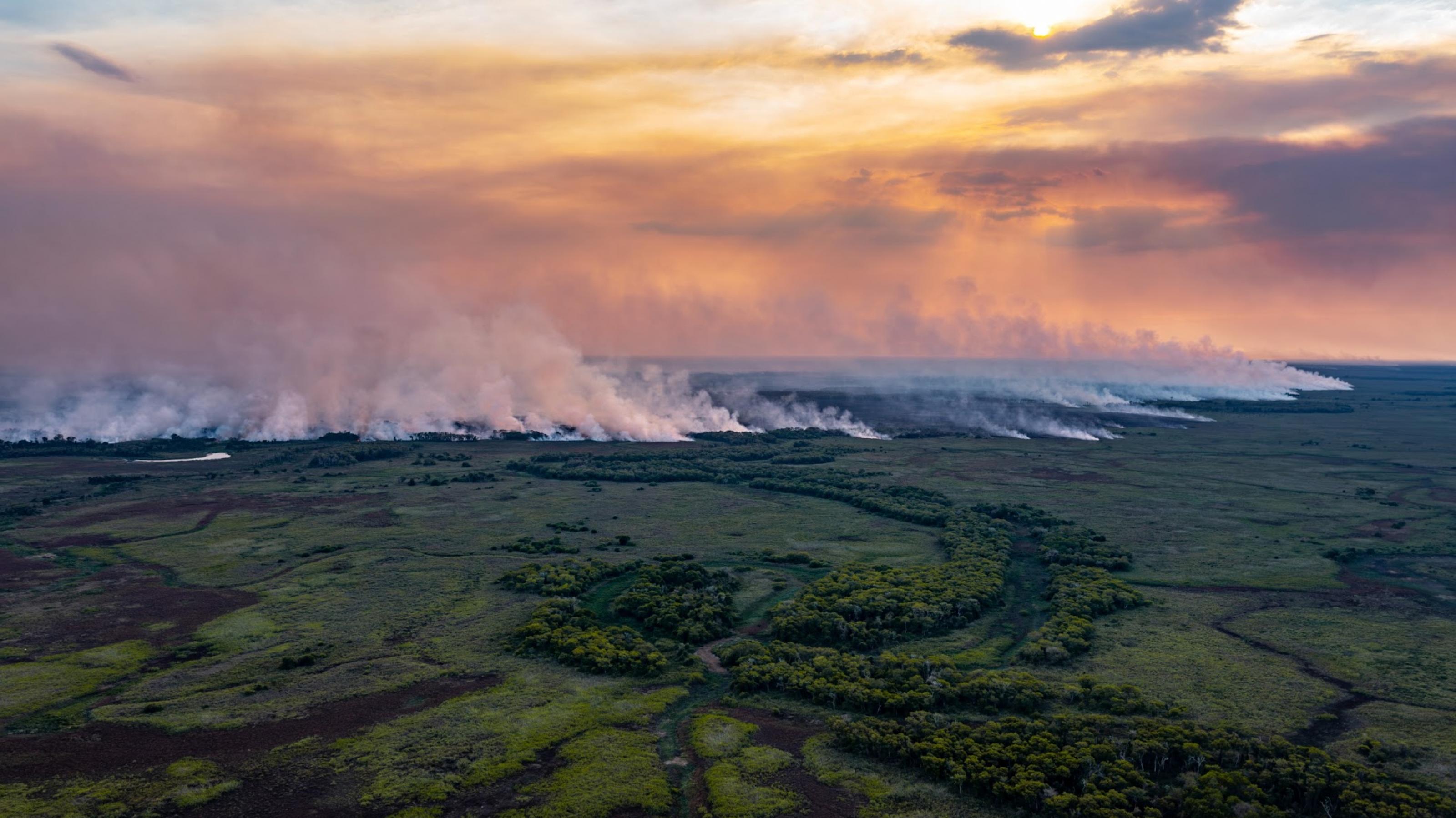 Totale aus Vogelperspektive. Blick auf Feuchtgebiet Pantanal – im Hintergrund große Rauchwolken.
