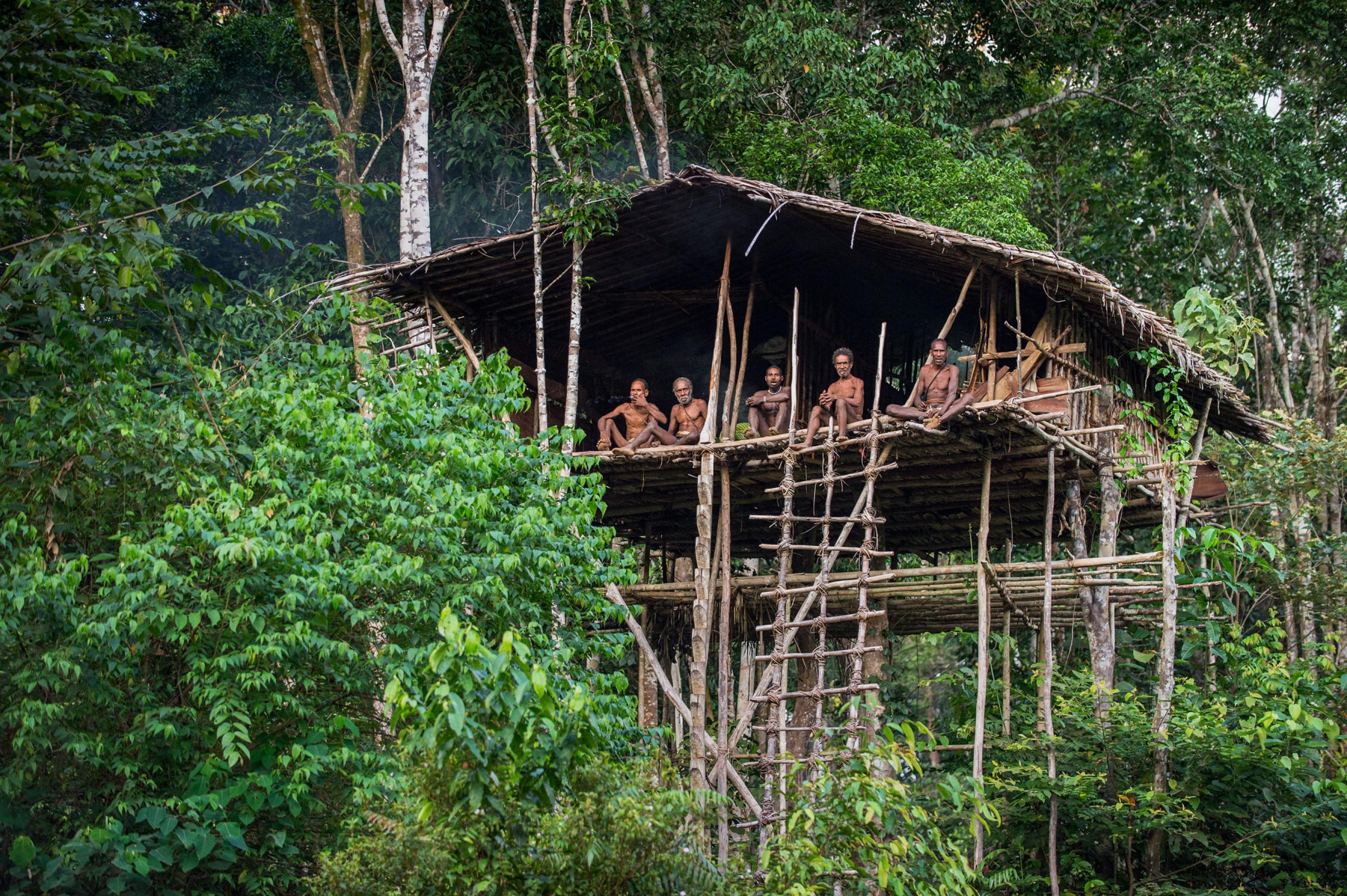 Zu sehen ist ein auf hohen Stelzen errichtetes Baumhaus im Regenwald Neuguineas, auf dessen Plattform hoch oben Menschen sitzen und auf den Fotografen blicken. Es sind Angehörige des Volkes der Korowai.