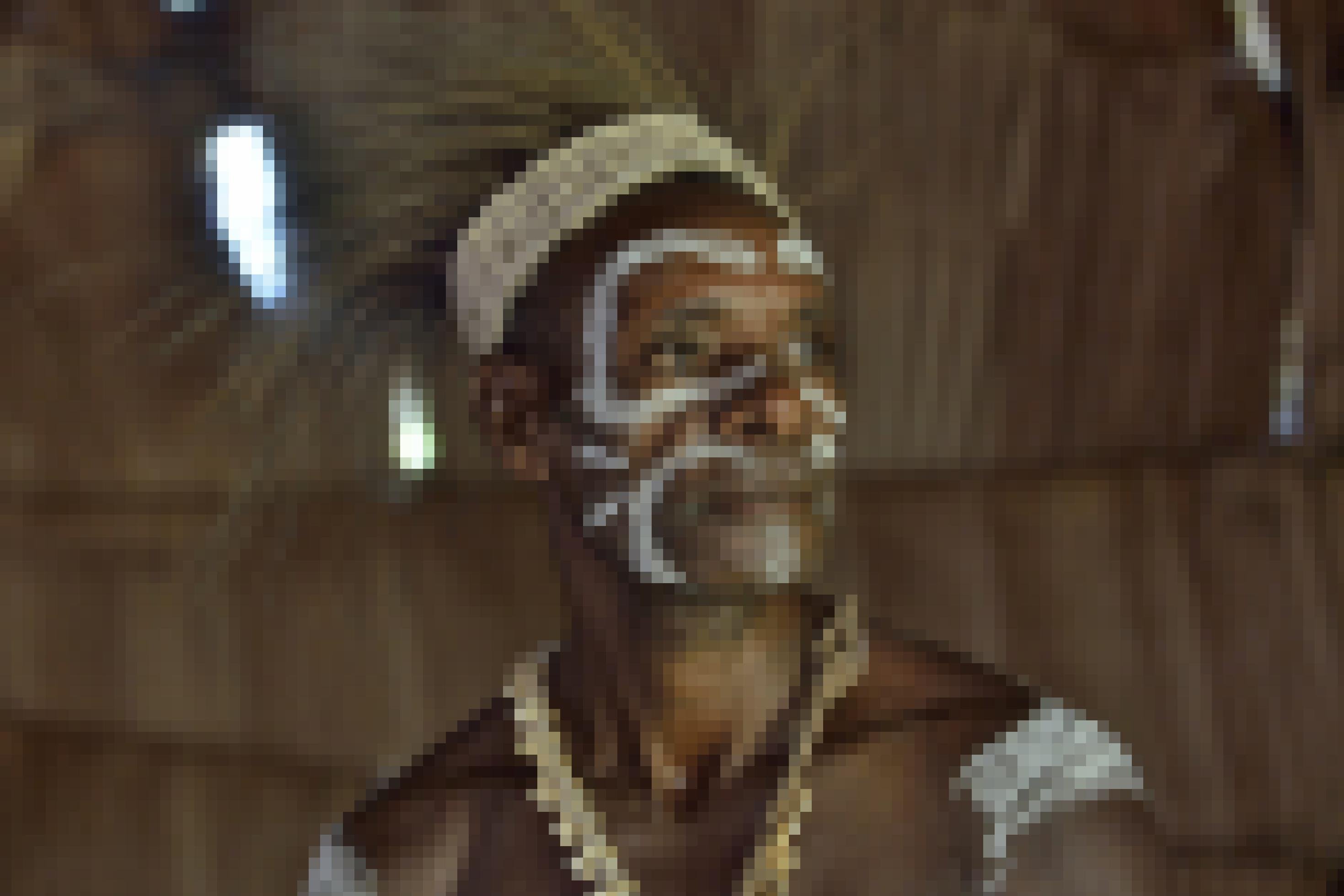 Das Bild zeigt einen Mann aus dem Volk der Asmat in Neuguinea. Er trägt eine Kette, ist im Gesicht weiß geschminkt, die Hare mit einem breiten Band nach oben gebunden, und strahlt viel Selbstbewusstsein aus. Die Papua, zu denen er gehört, tragen im Durchschnitt rund drei Prozent Erbgut der Denisova-Menschen in sich und profitieren davon.