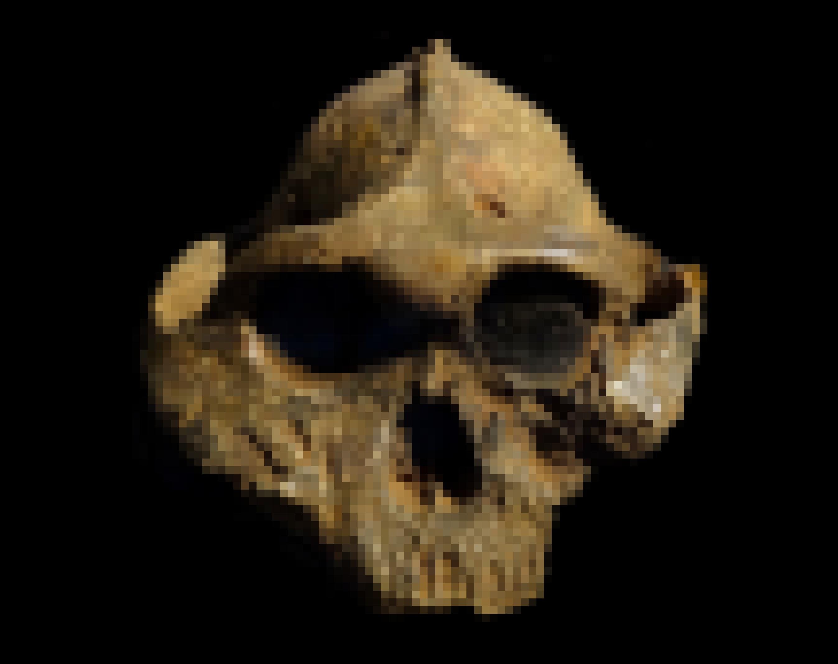 Am fossilen Schädel des Nussknackermenschen Paranthropus boisei ist oben, auf dem Scheitel, eine knöcherne Erhebung zu erkennen. An diesem Knochenkamm setzten einst die stark ausgeprägten Kaumuskeln an.