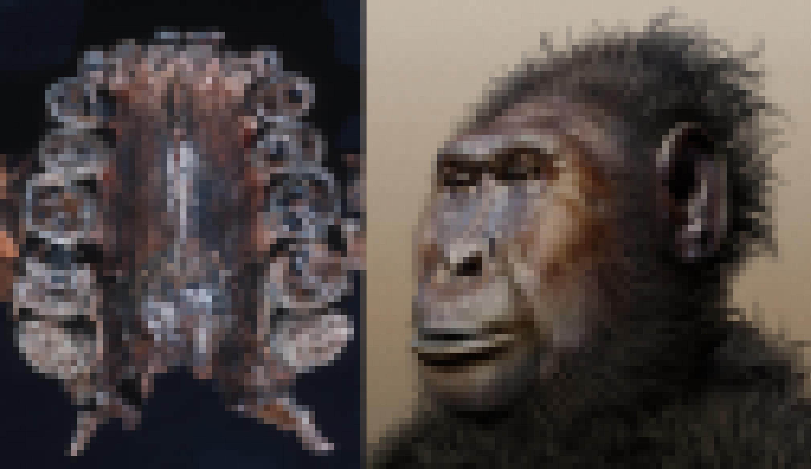 Im linken Foto zu sehen ist ein fossiler Oberkiefer (von unten gezeigt), mit extrem großen Backenzähnen. Rechts findet sich die Zeichnung eines Wesens, das mit schwarzen Haaren, dunkler Gesichtsfarbe, platter Nase und der sehr großen Mundpartie wie eine Mischung zwischen Gorilla und Mensch wirkt.