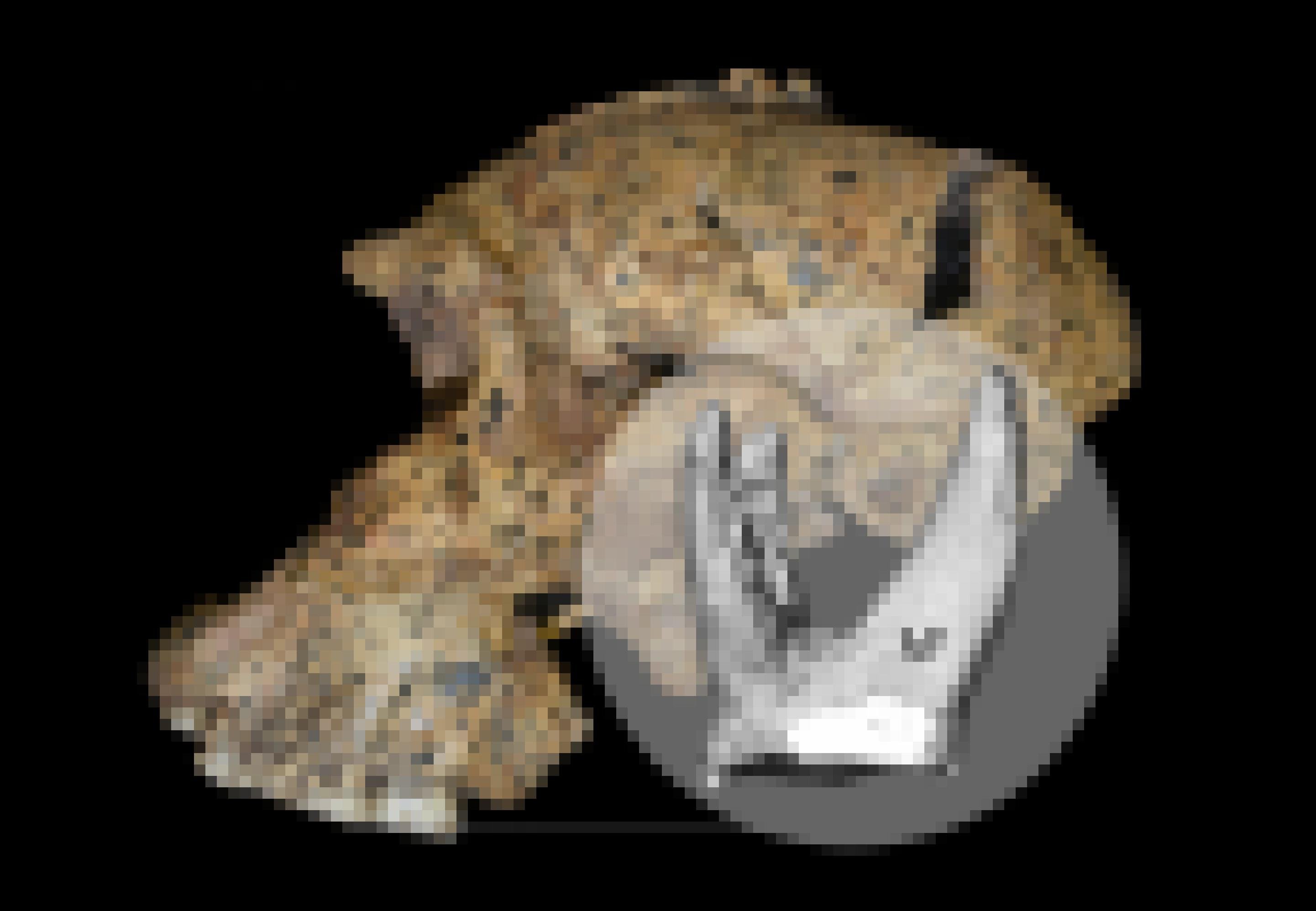 Das Bild zeigt eine seitliche Ansicht des Schädels von Paranthropus robustus. Vom Kiefer als Zoombild ausgehend und stark vergrößert, ist zudem die virtuelle Rekonstruktion eines Zahnes und seiner Wurzeln dargestellt. Daran können die Forscher aus Leipzig erkennen, wie dieser Verwandte des Menschen einst seine Nahrung zerkaute.