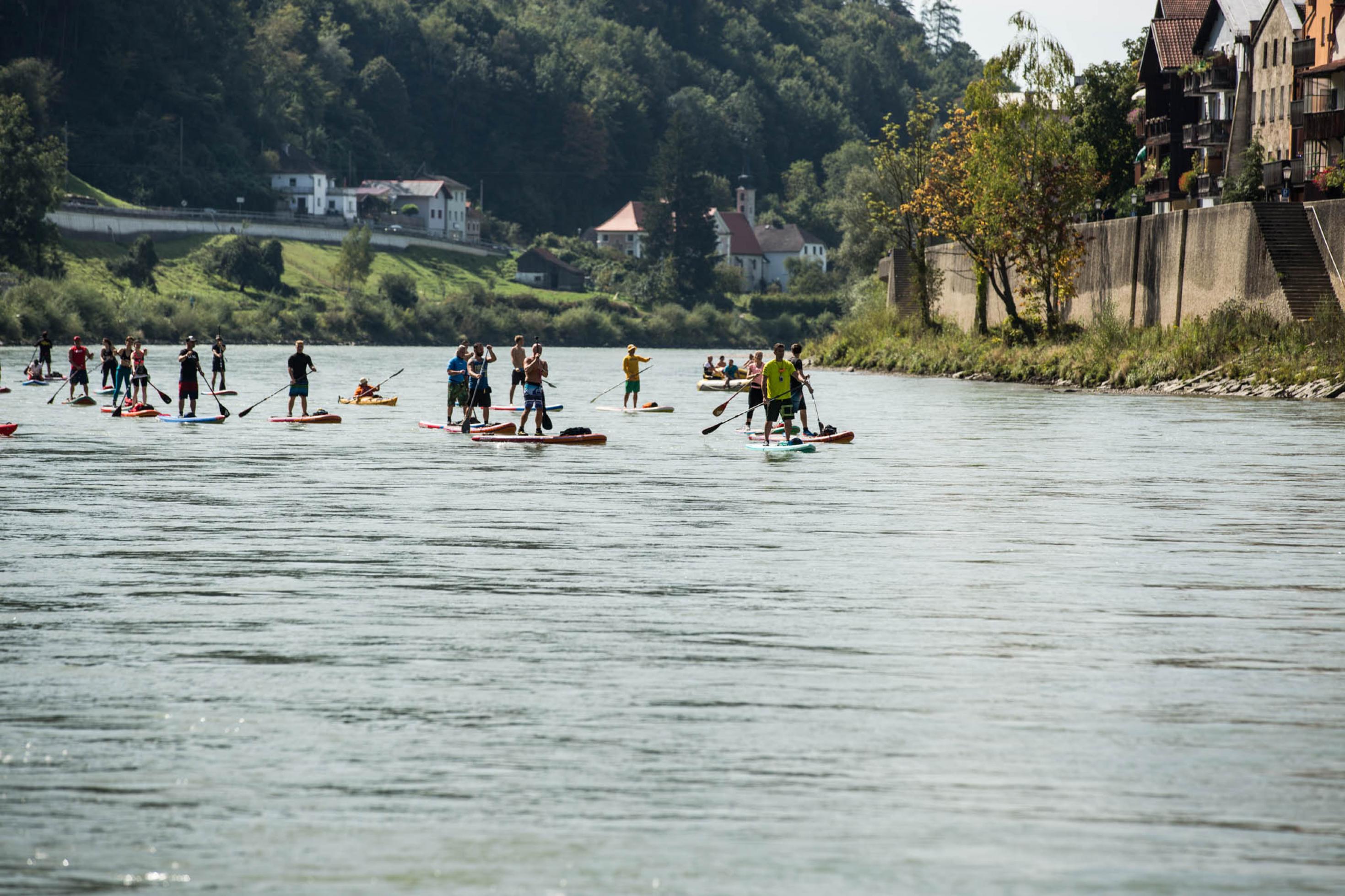 Mehrere Stand-Up-Paddler auf der Salzach