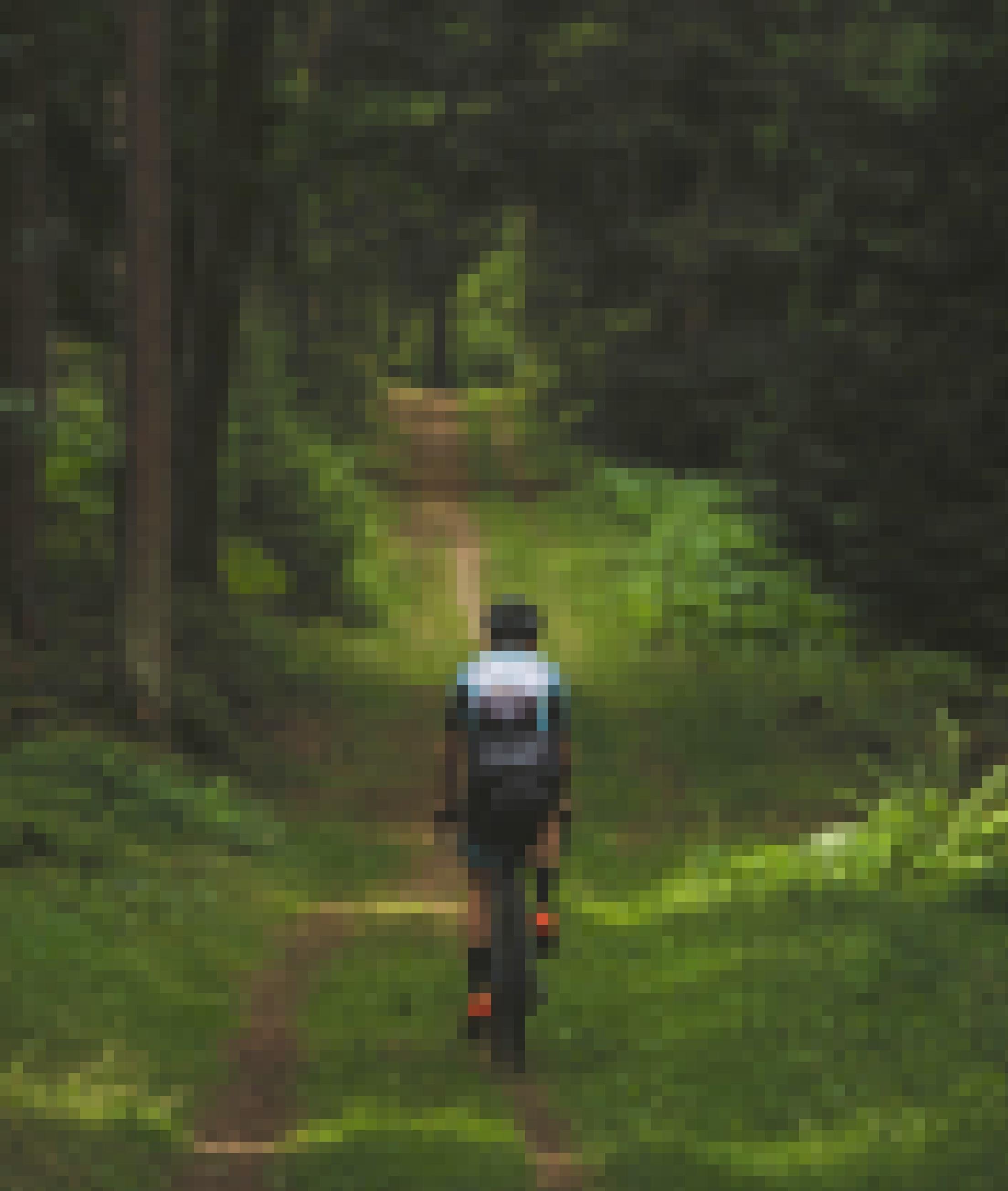 Ein einsamer Sportradler ist auf einem von Sonnenstreifen gemusterten Waldweg unterwegs.