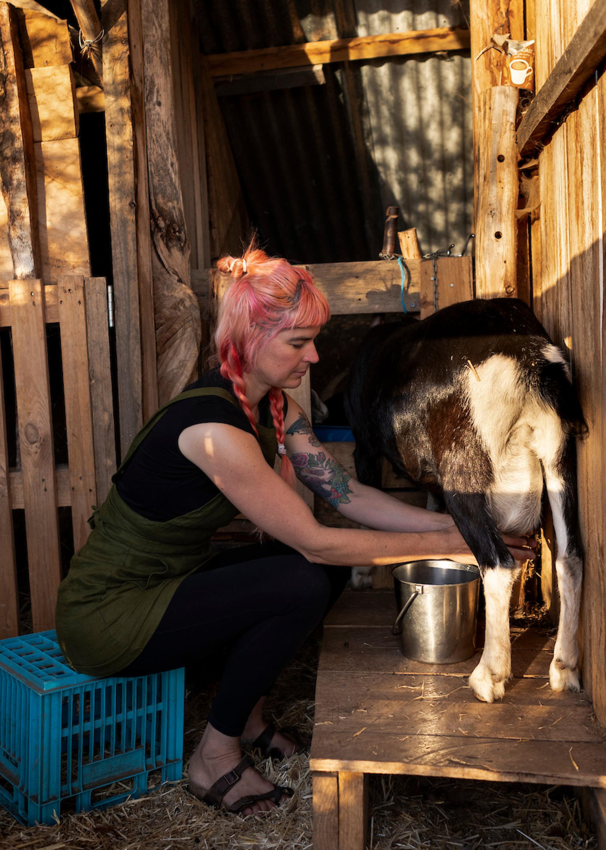 Hannah Molony sitzt im Stall auf einer Kiste und melkt eine braun-weiße Toggenburger Ziege.